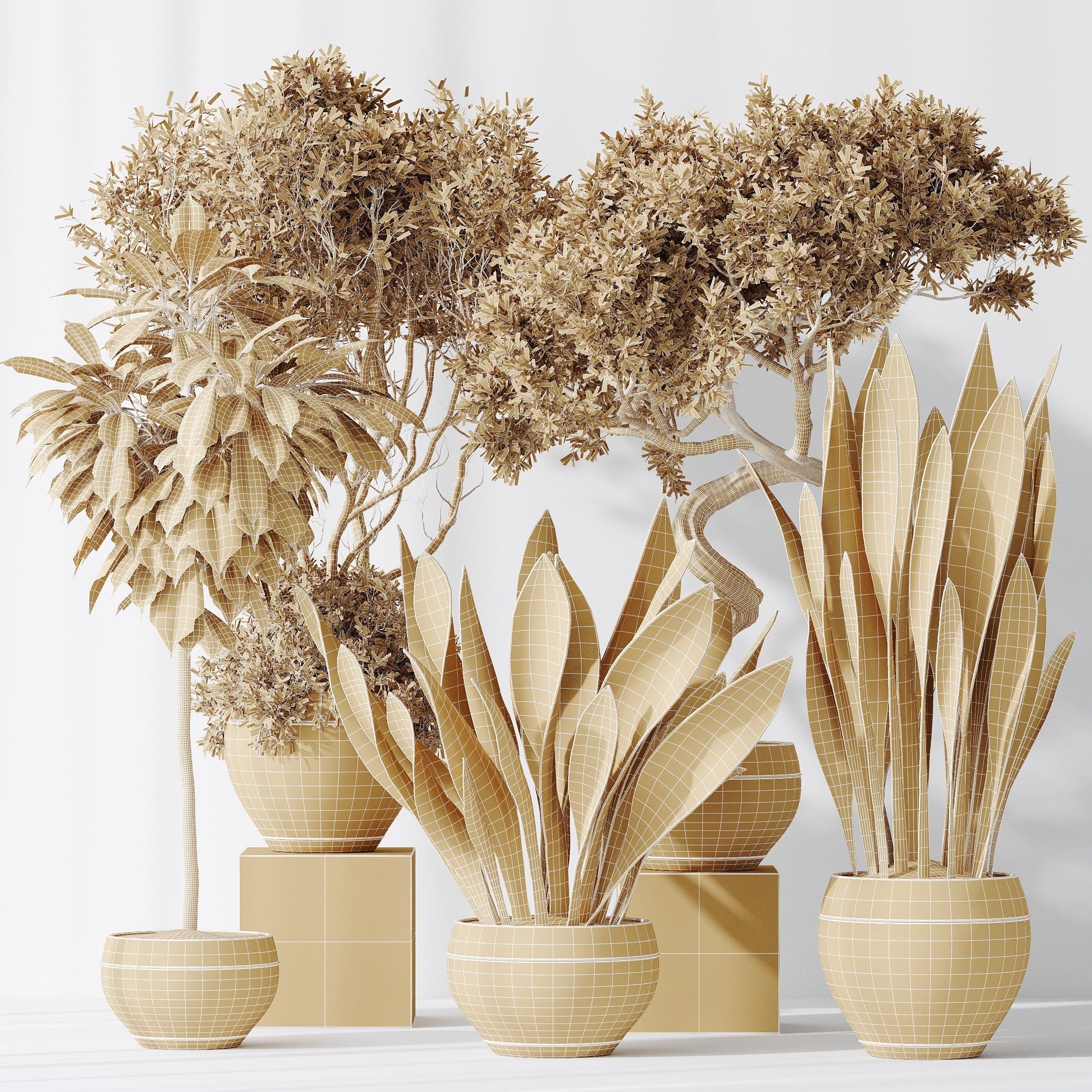 12 Different SETS of Plant Indoor SET VOL153 3D Model Collection_55