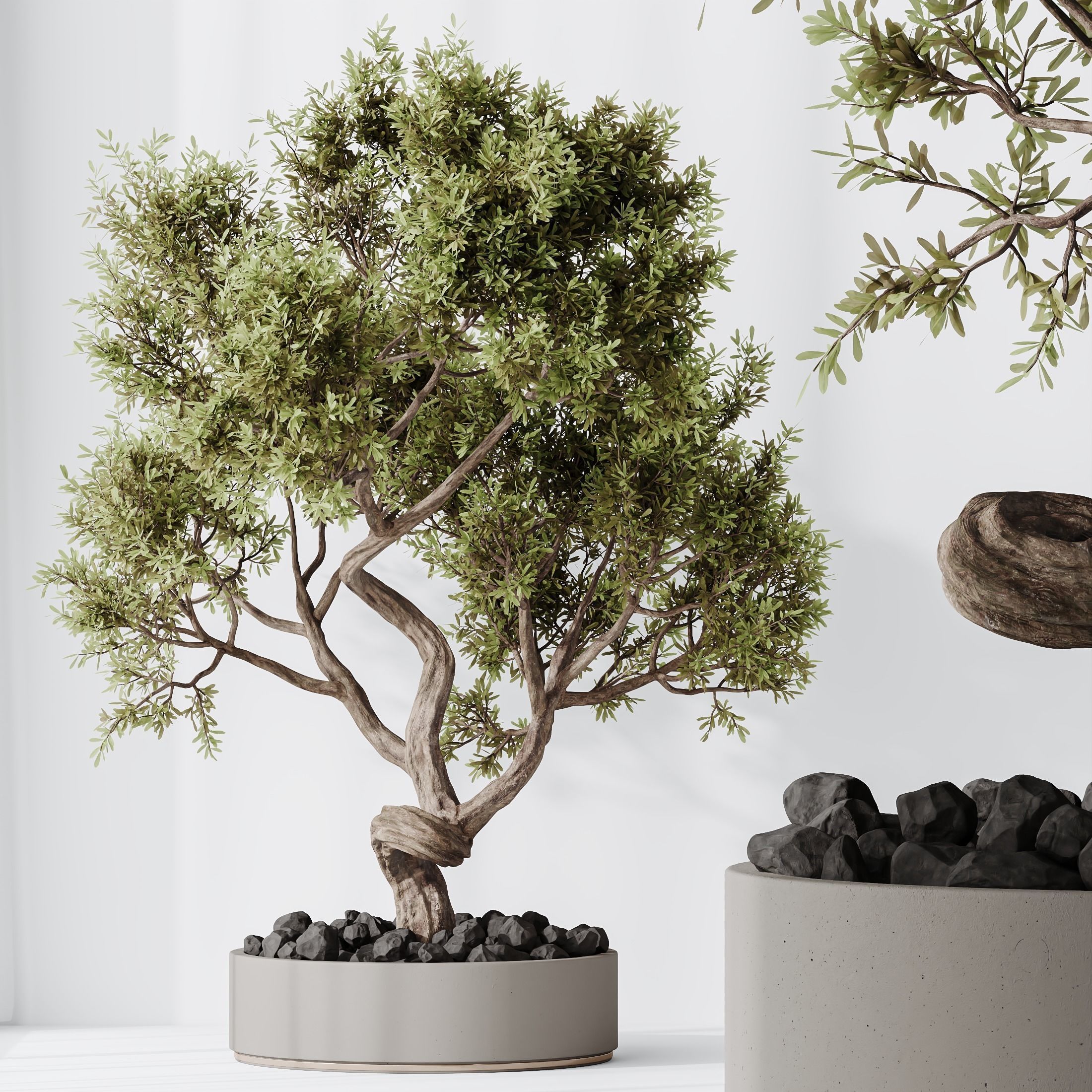 12 Different SETS of Plant Indoor SET VOL153 3D Model Collection_41