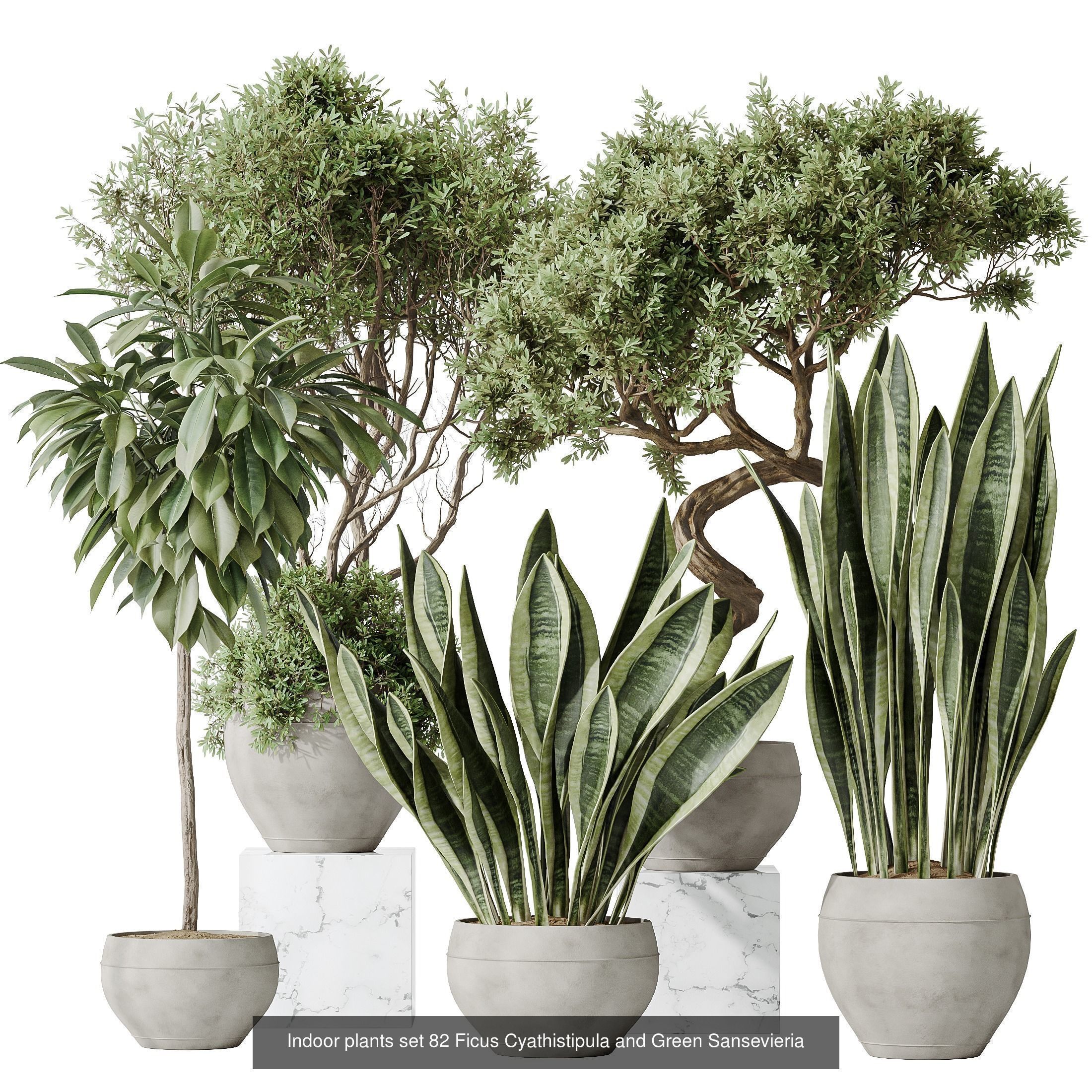 12 Different SETS of Plant Indoor SET VOL153 3D Model Collection_7