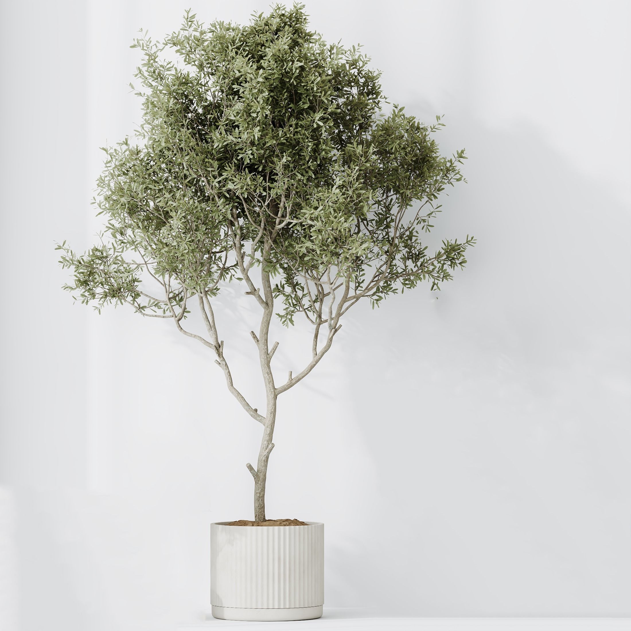 12 Different SETS of Plant Indoor SET VOL153 3D Model Collection_22