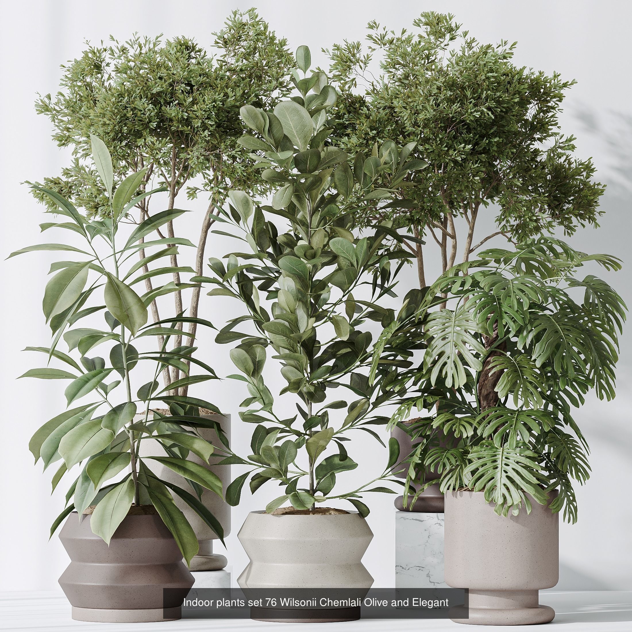 12 Different SETS of Plant Indoor SET VOL153 3D Model Collection_11