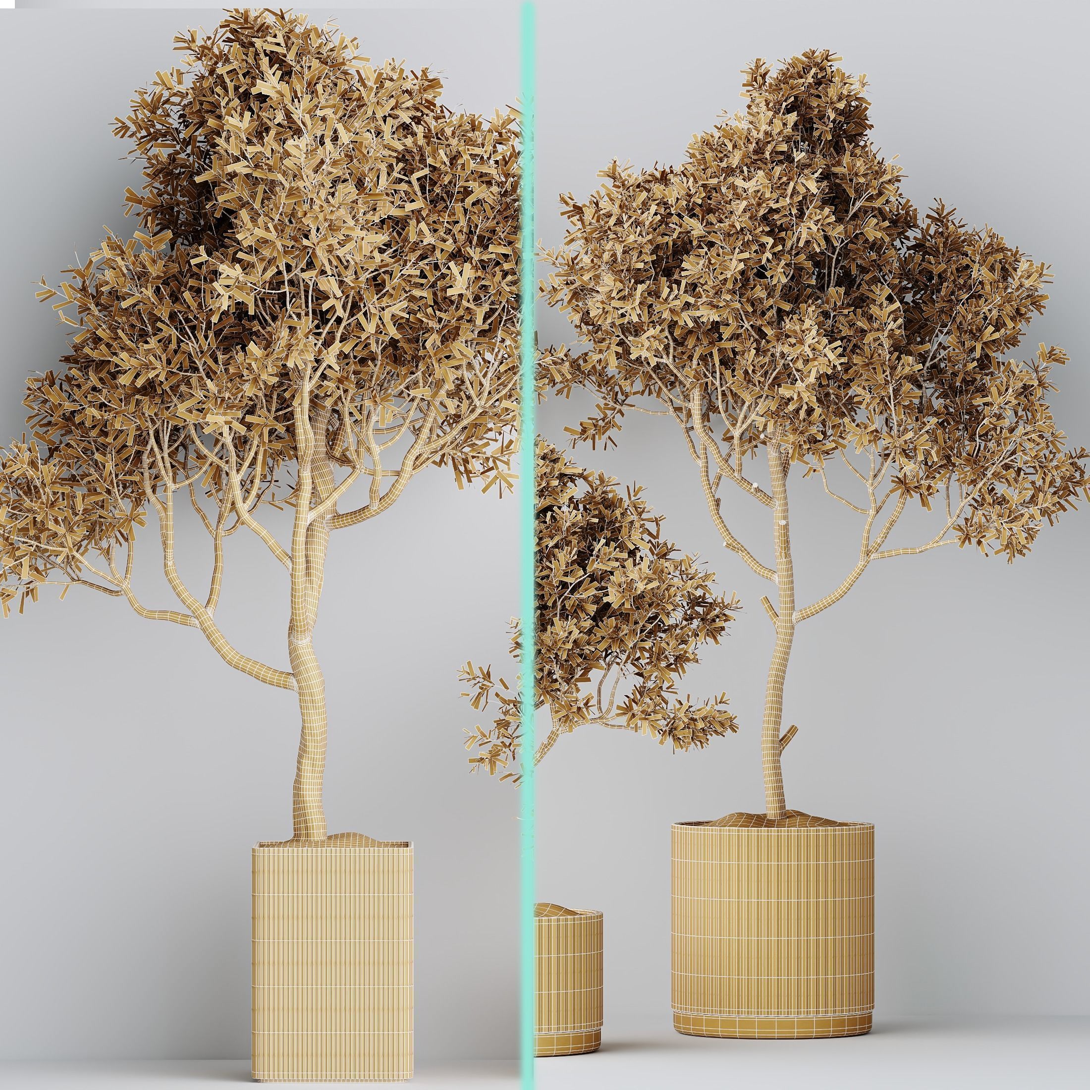 12 Different SETS of Plant Indoor SET VOL153 3D Model Collection_48