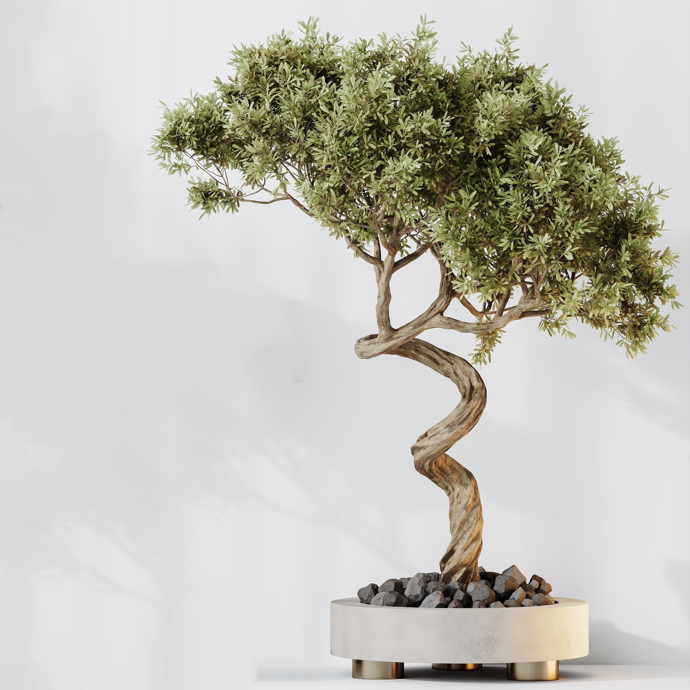 12 Different SETS of Plant Indoor SET VOL153 3D Model Collection_21