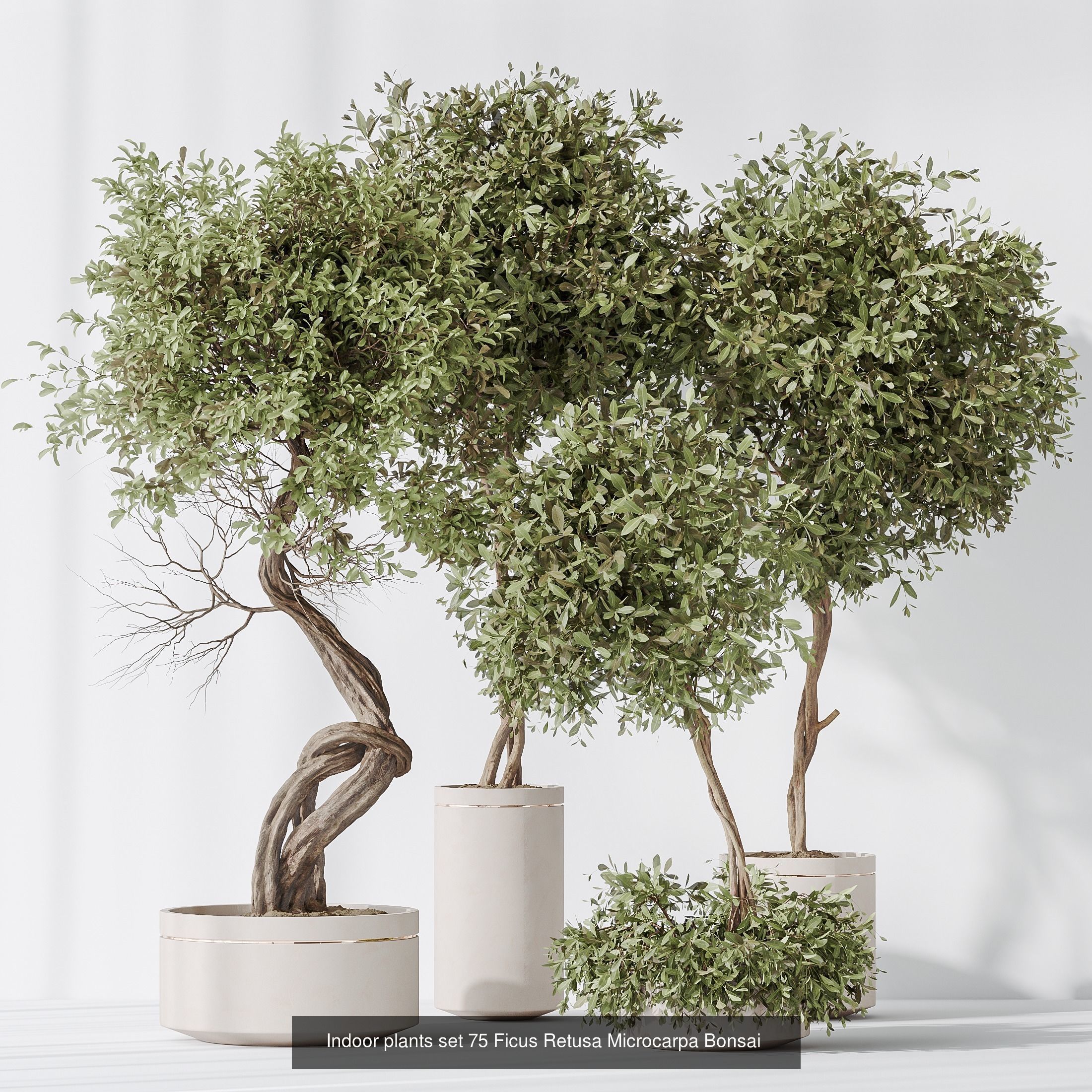 12 Different SETS of Plant Indoor SET VOL153 3D Model Collection_10
