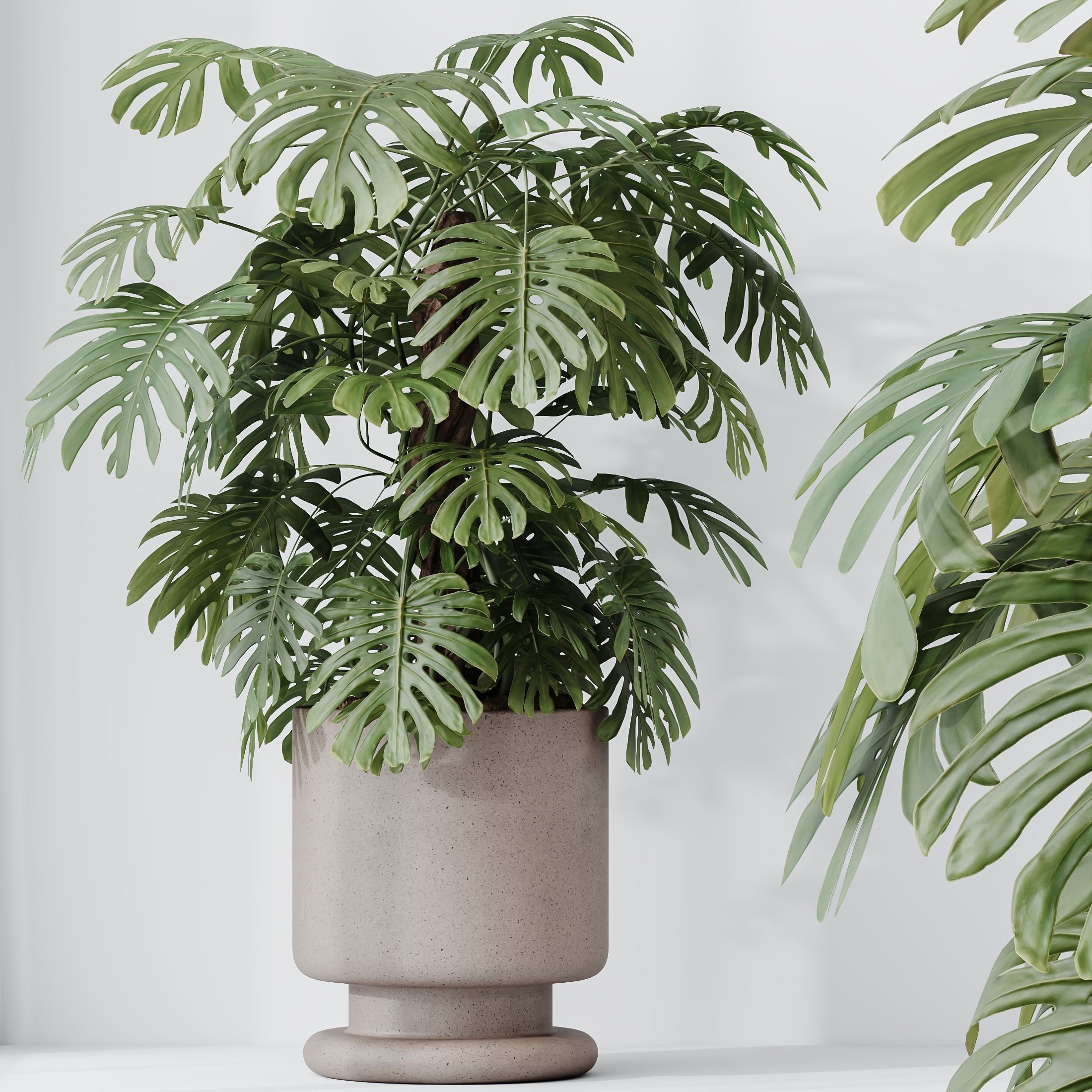 12 Different SETS of Plant Indoor SET VOL153 3D Model Collection_25