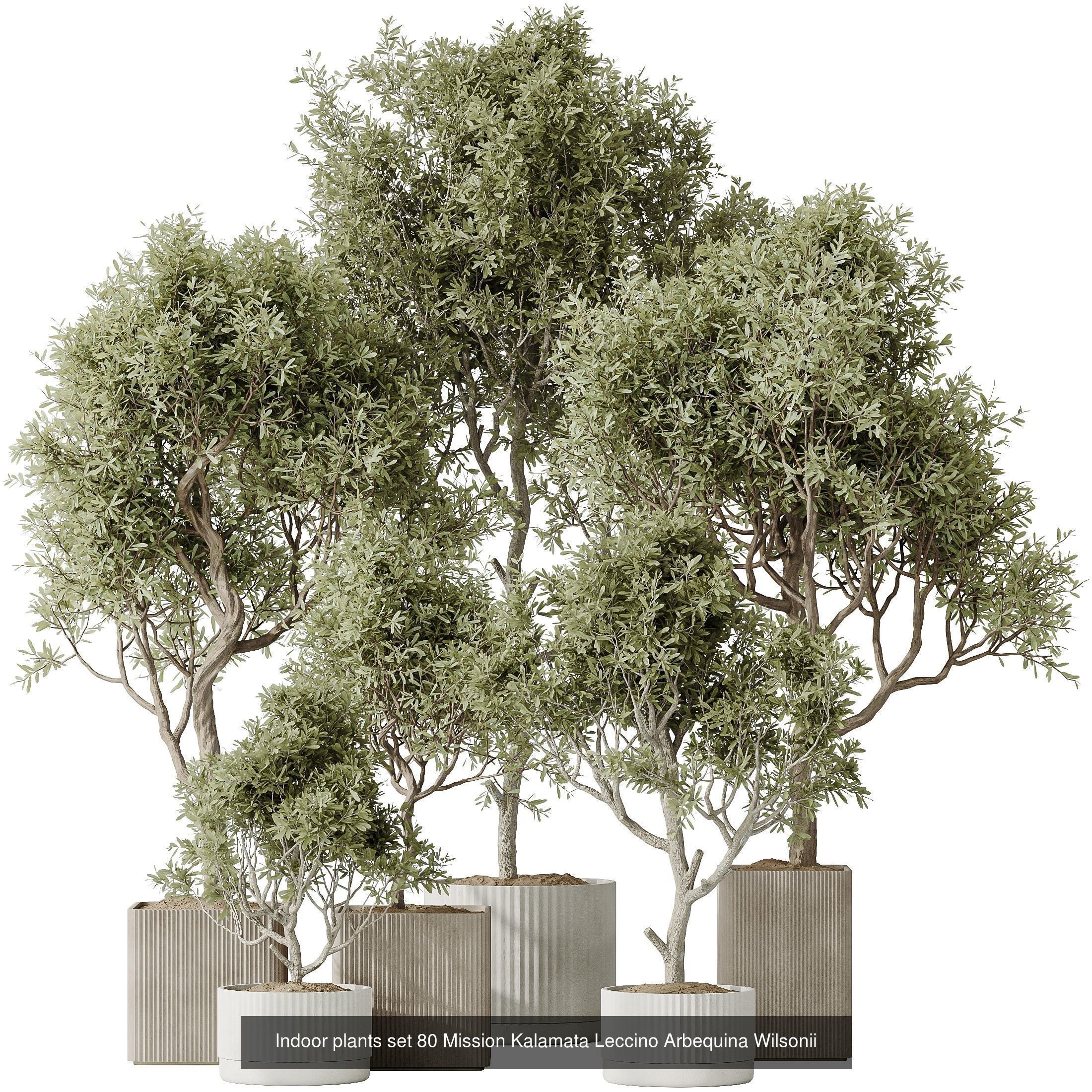 12 Different SETS of Plant Indoor SET VOL153 3D Model Collection_6