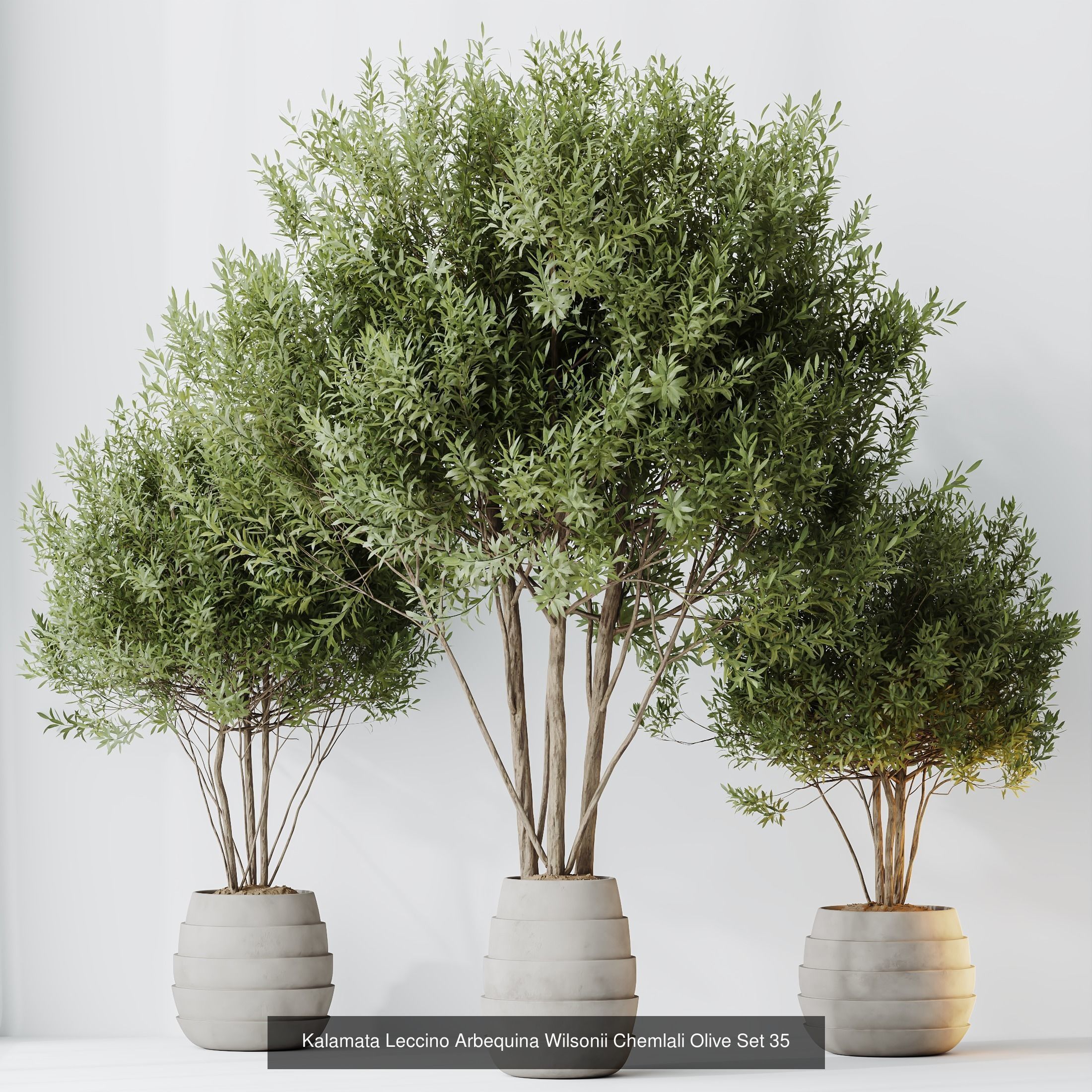 12 Different SETS of Plant Indoor SET VOL153 3D Model Collection_8