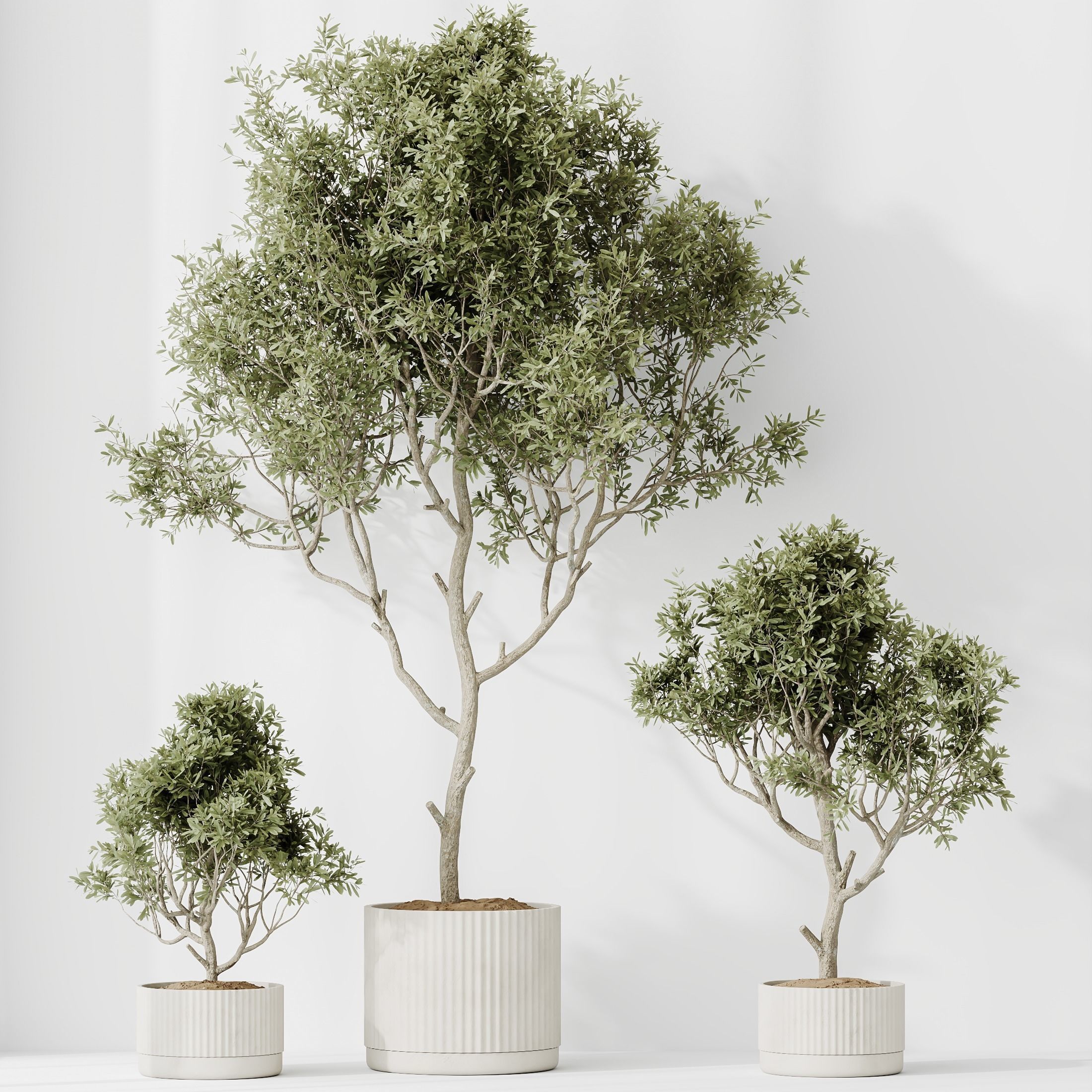 12 Different SETS of Plant Indoor SET VOL153 3D Model Collection_31
