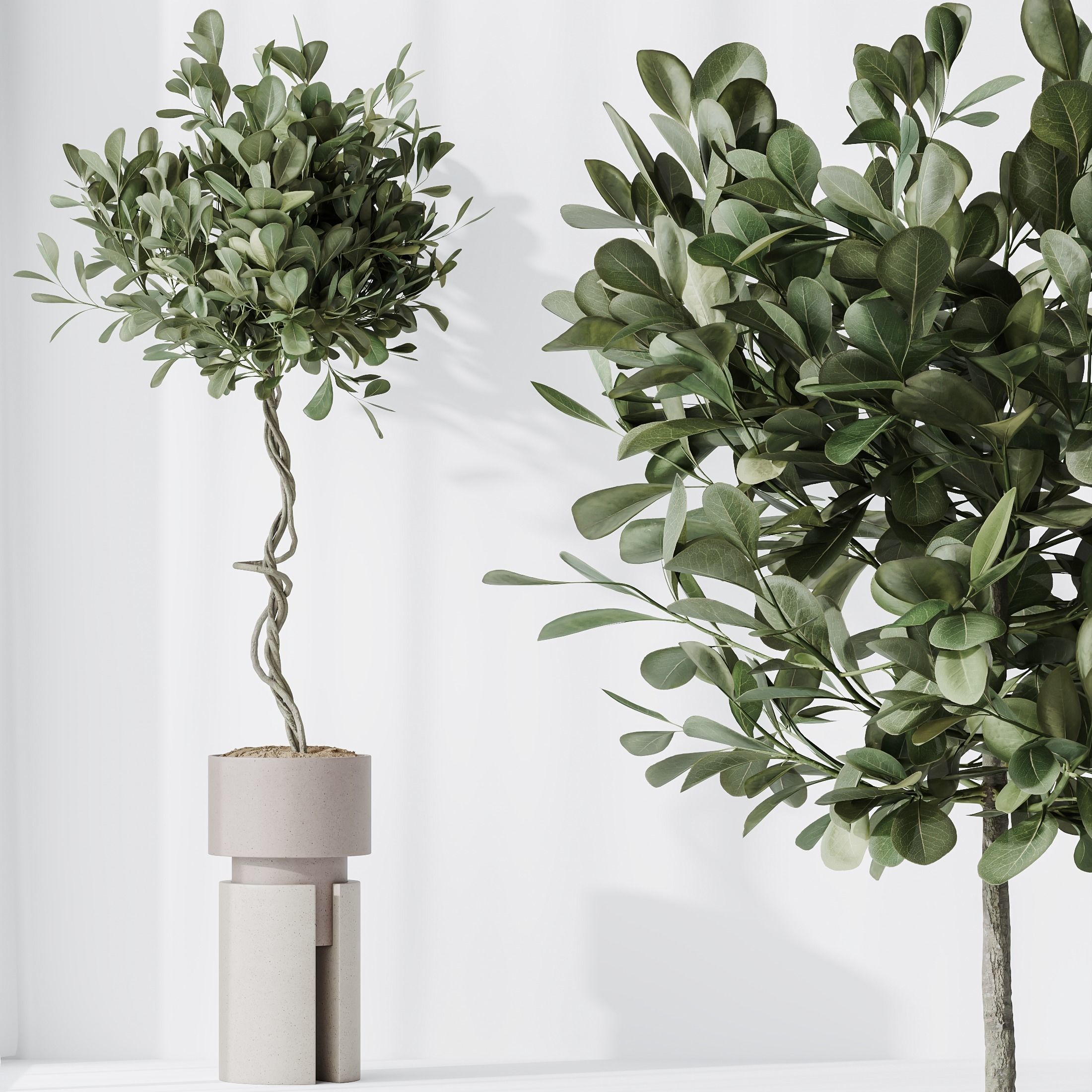 12 Different SETS of Plant Indoor SET VOL153 3D Model Collection_23