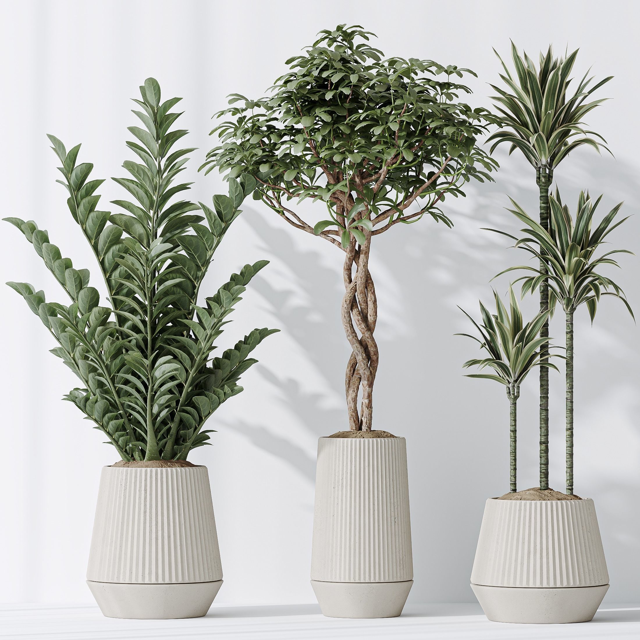 12 Different SETS of Plant Indoor SET VOL153 3D Model Collection_28