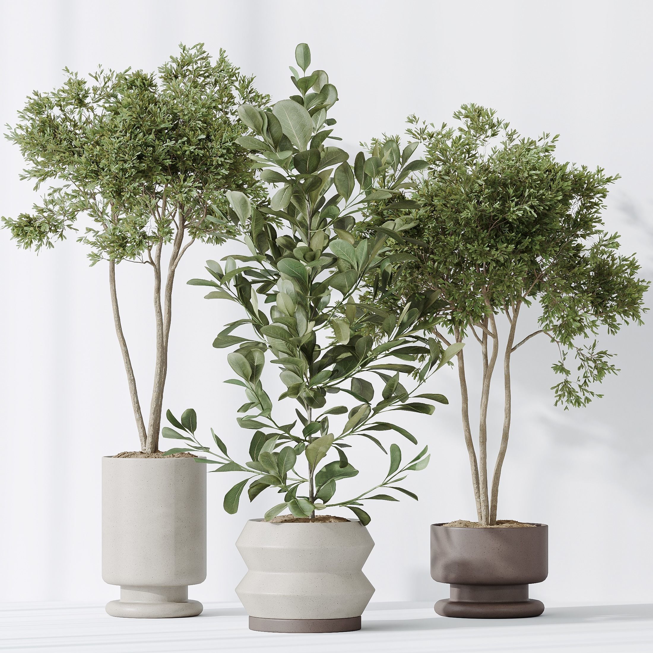 12 Different SETS of Plant Indoor SET VOL153 3D Model Collection_37