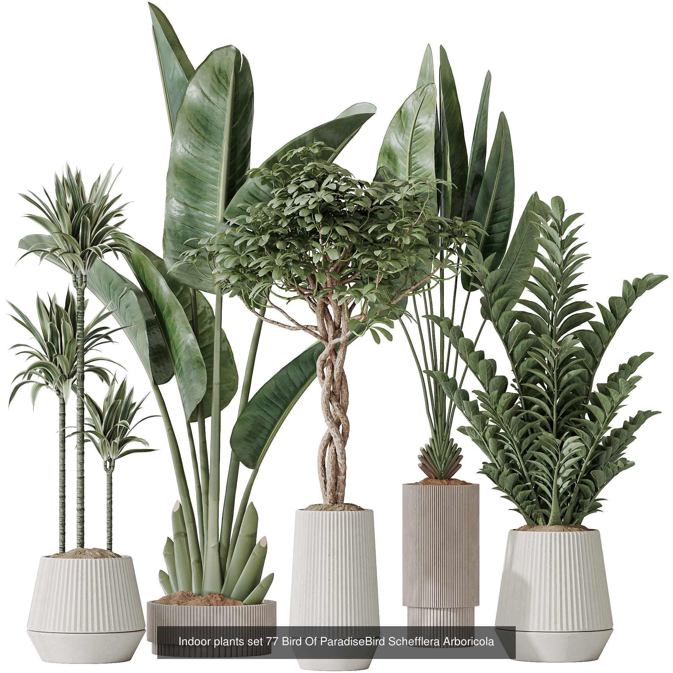 12 Different SETS of Plant Indoor SET VOL153 3D Model Collection_2