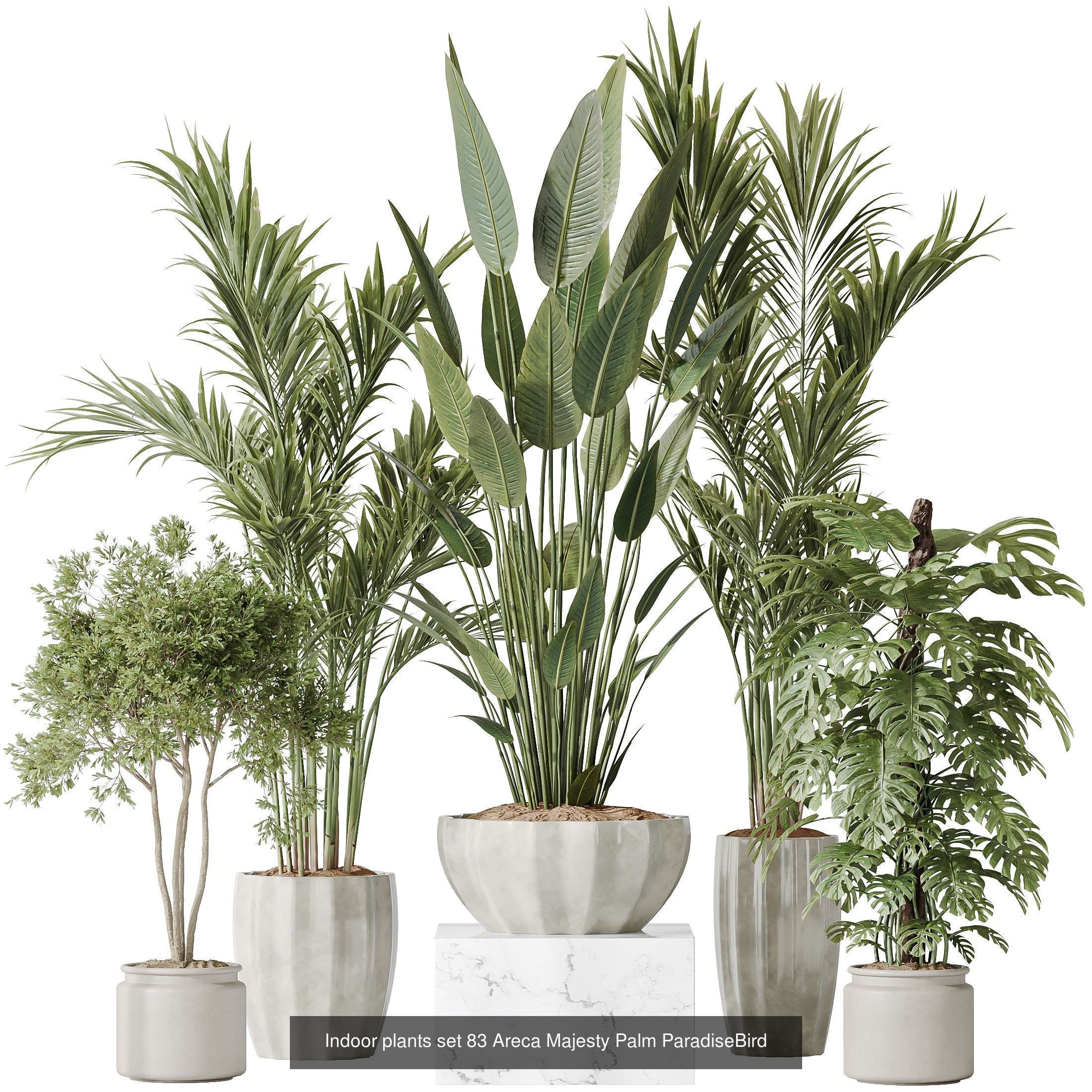 12 Different SETS of Plant Indoor SET VOL153 3D Model Collection_4
