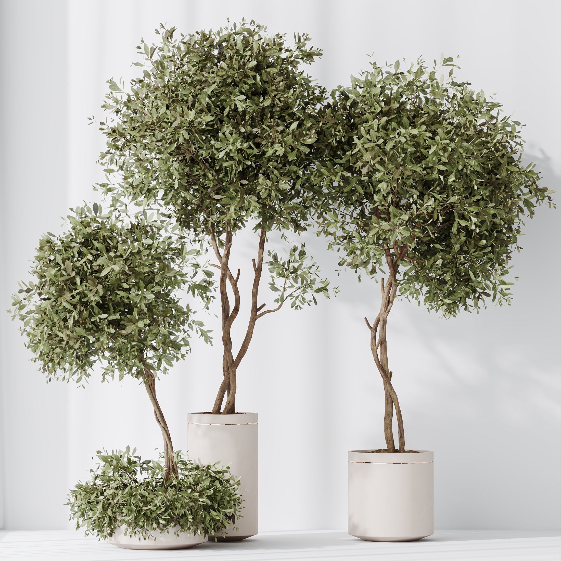 12 Different SETS of Plant Indoor SET VOL153 3D Model Collection_45