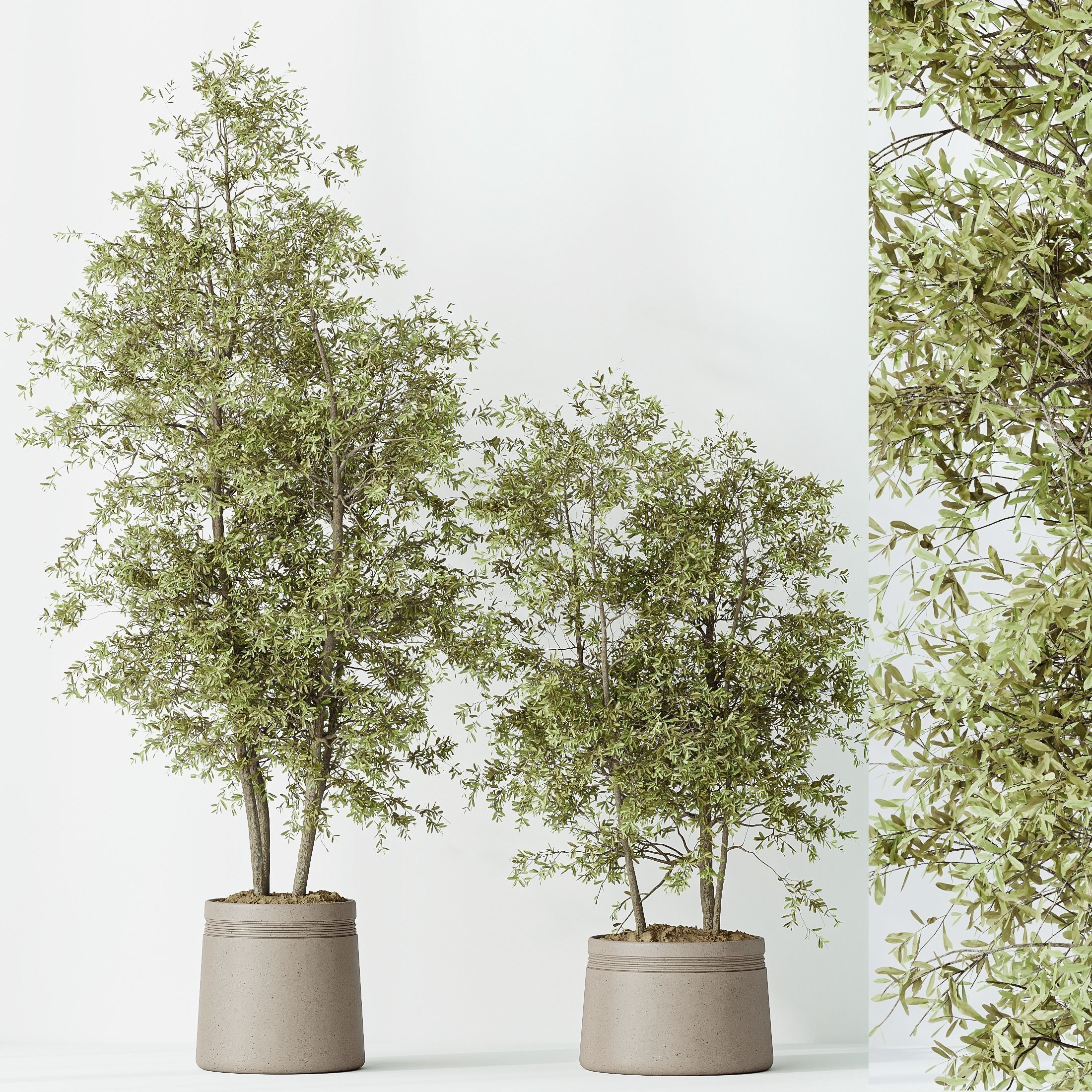 12 Different SETS of Plant Indoor SET VOL153 3D Model Collection_44