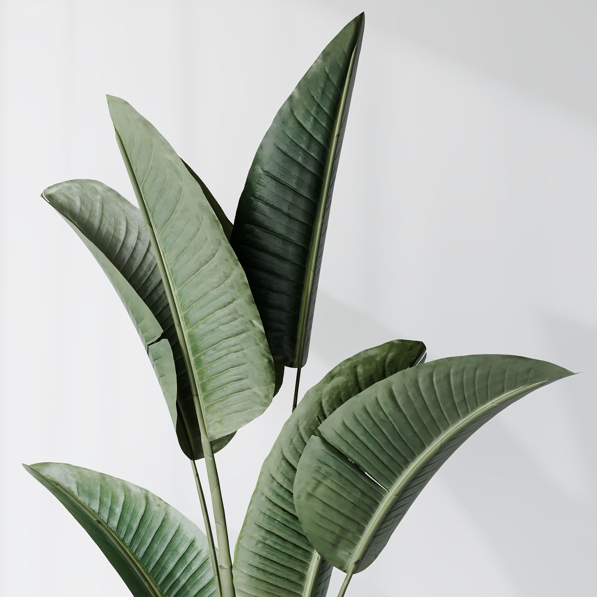 12 Different SETS of Plant Indoor SET VOL153 3D Model Collection_13