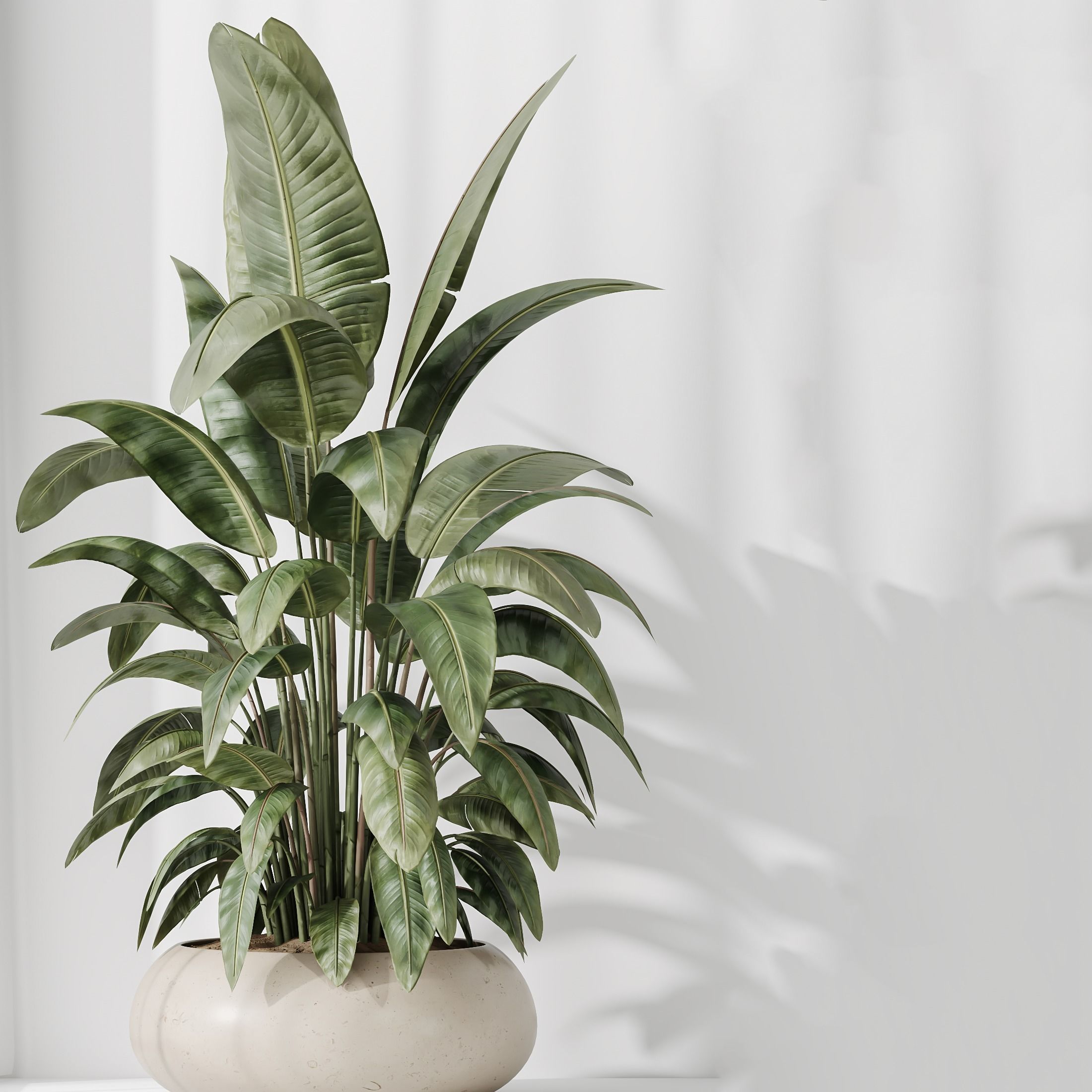 12 Different SETS of Plant Indoor SET VOL153 3D Model Collection_14