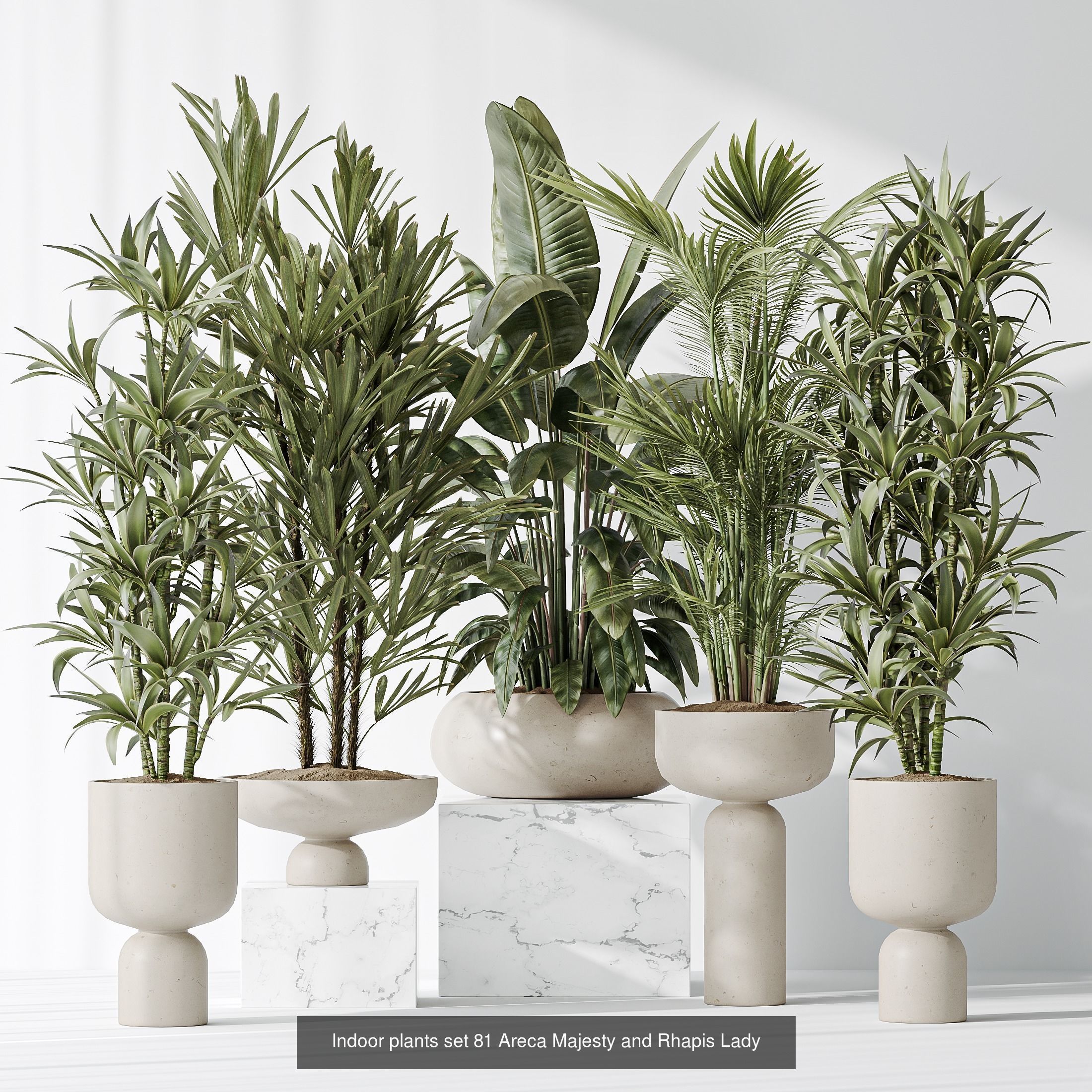 12 Different SETS of Plant Indoor SET VOL153 3D Model Collection_3