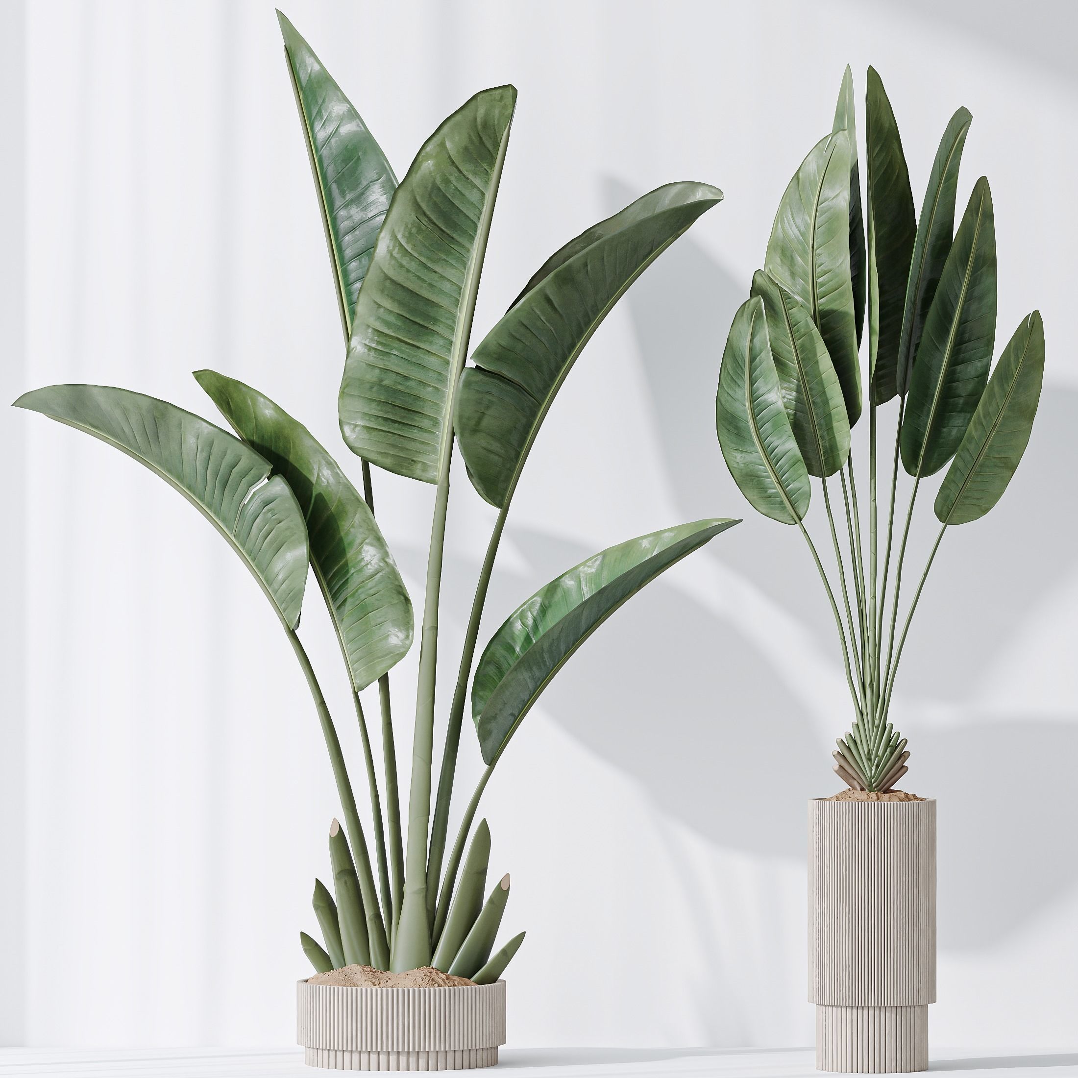 12 Different SETS of Plant Indoor SET VOL153 3D Model Collection_17