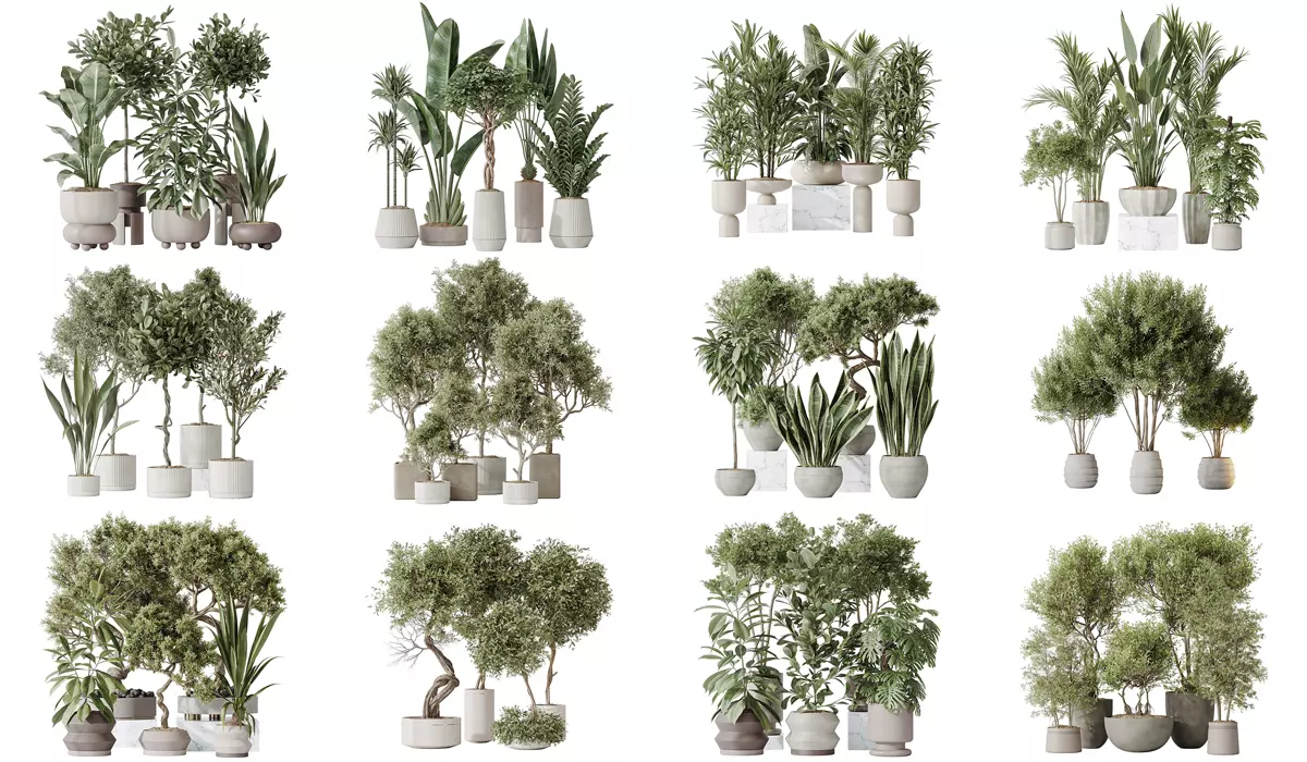 12 Different SETS of Plant Indoor SET VOL153 3D Model Collection_0