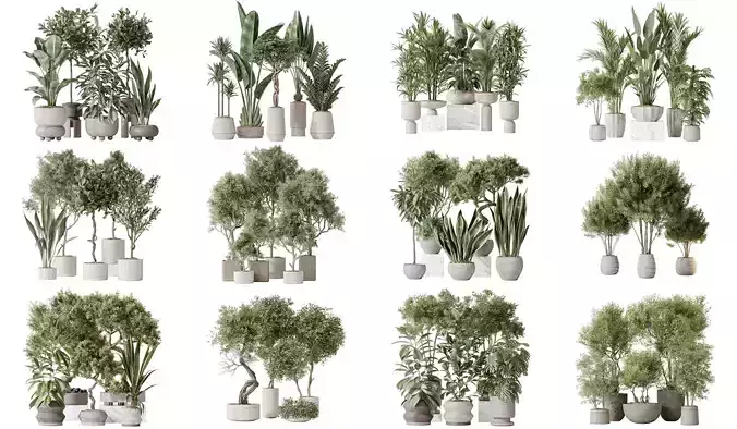 12 Different SETS of Plant Indoor SET VOL153 3D Model Collection