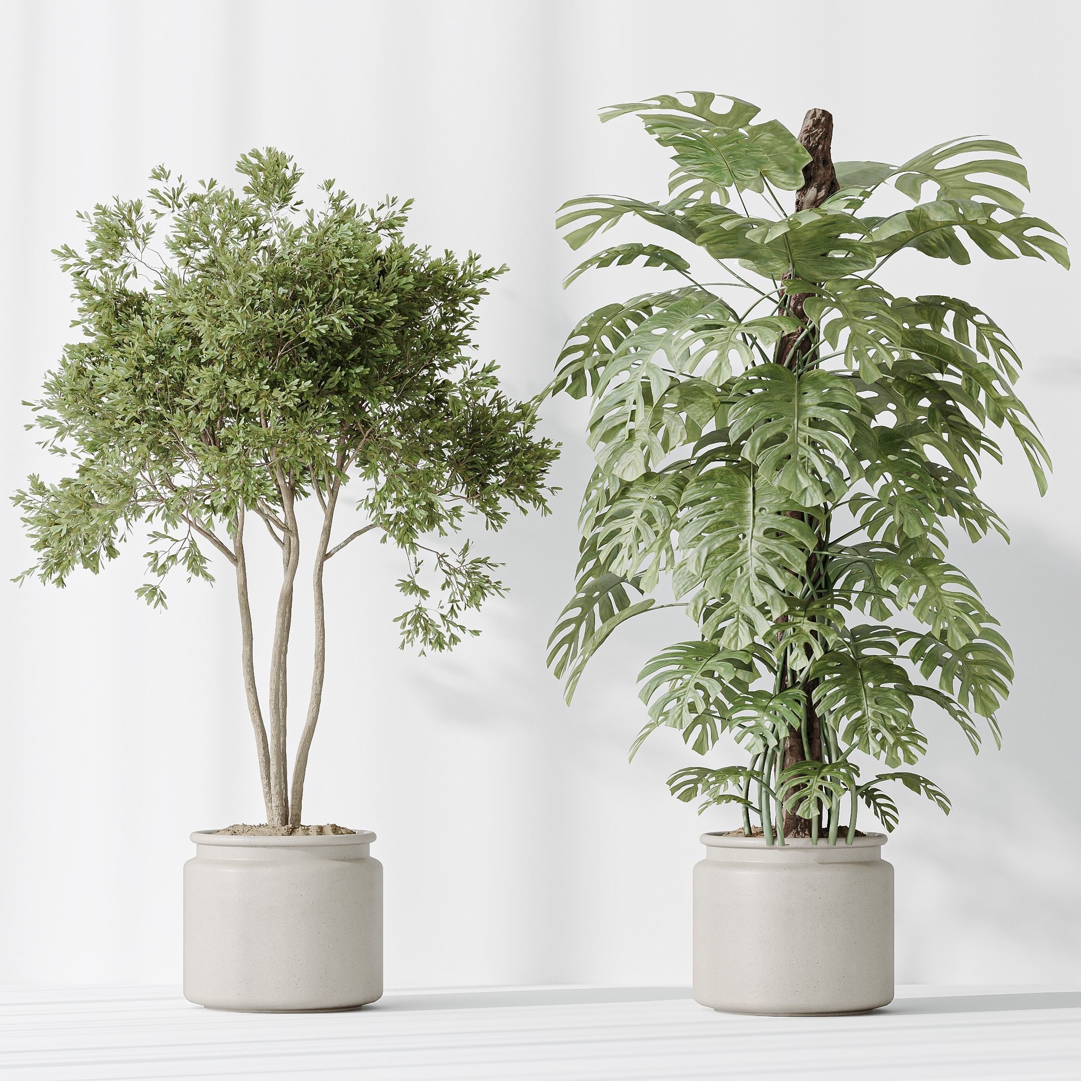 12 Different SETS of Plant Indoor SET VOL153 3D Model Collection_32