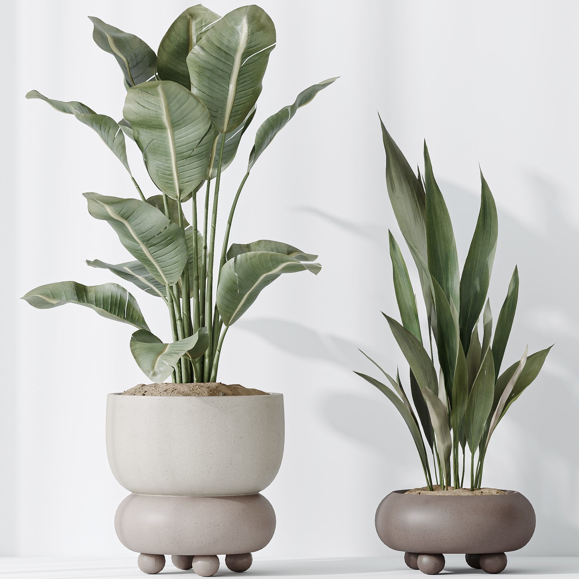 12 Different SETS of Plant Indoor SET VOL153 3D Model Collection_16