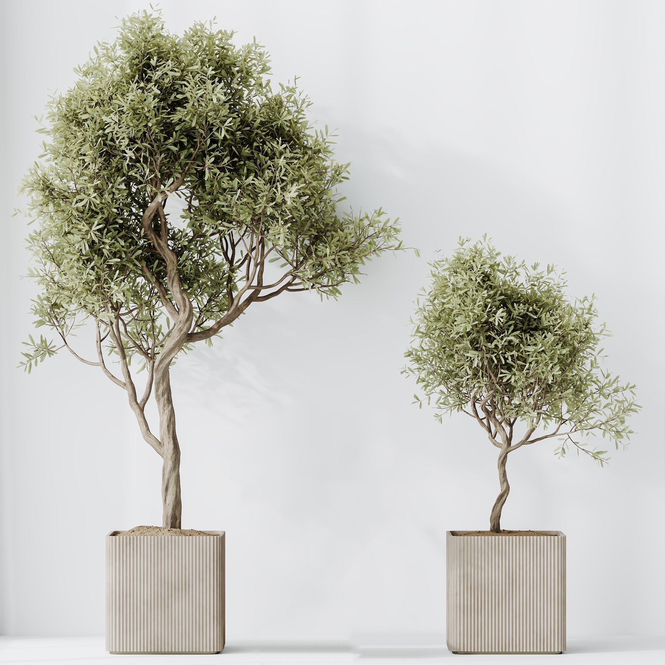 12 Different SETS of Plant Indoor SET VOL153 3D Model Collection_26