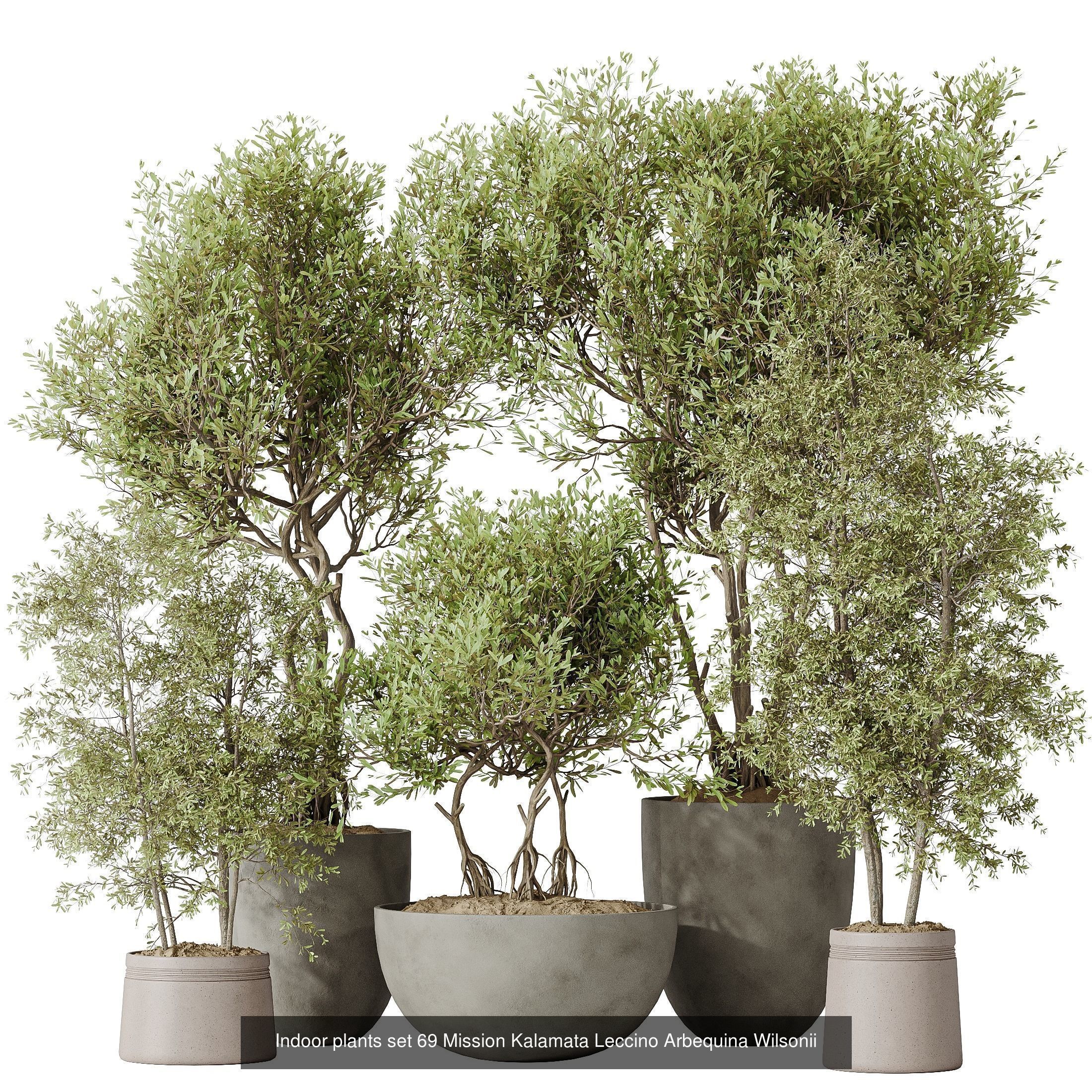 12 Different SETS of Plant Indoor SET VOL153 3D Model Collection_12