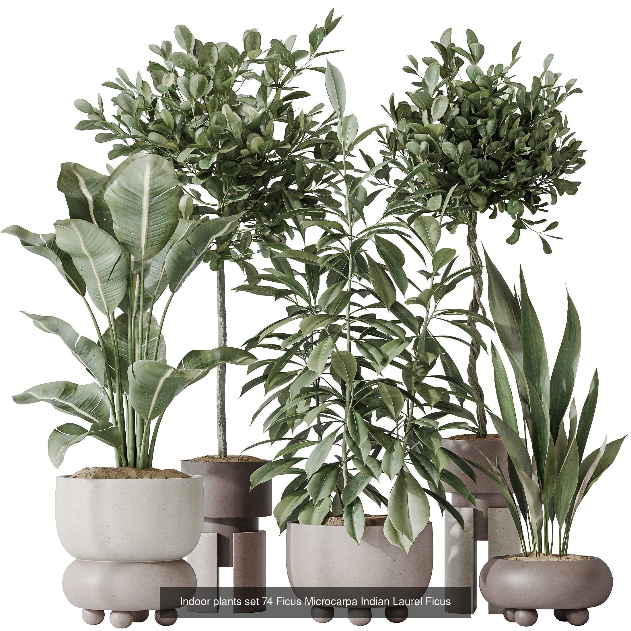 12 Different SETS of Plant Indoor SET VOL153 3D Model Collection_1