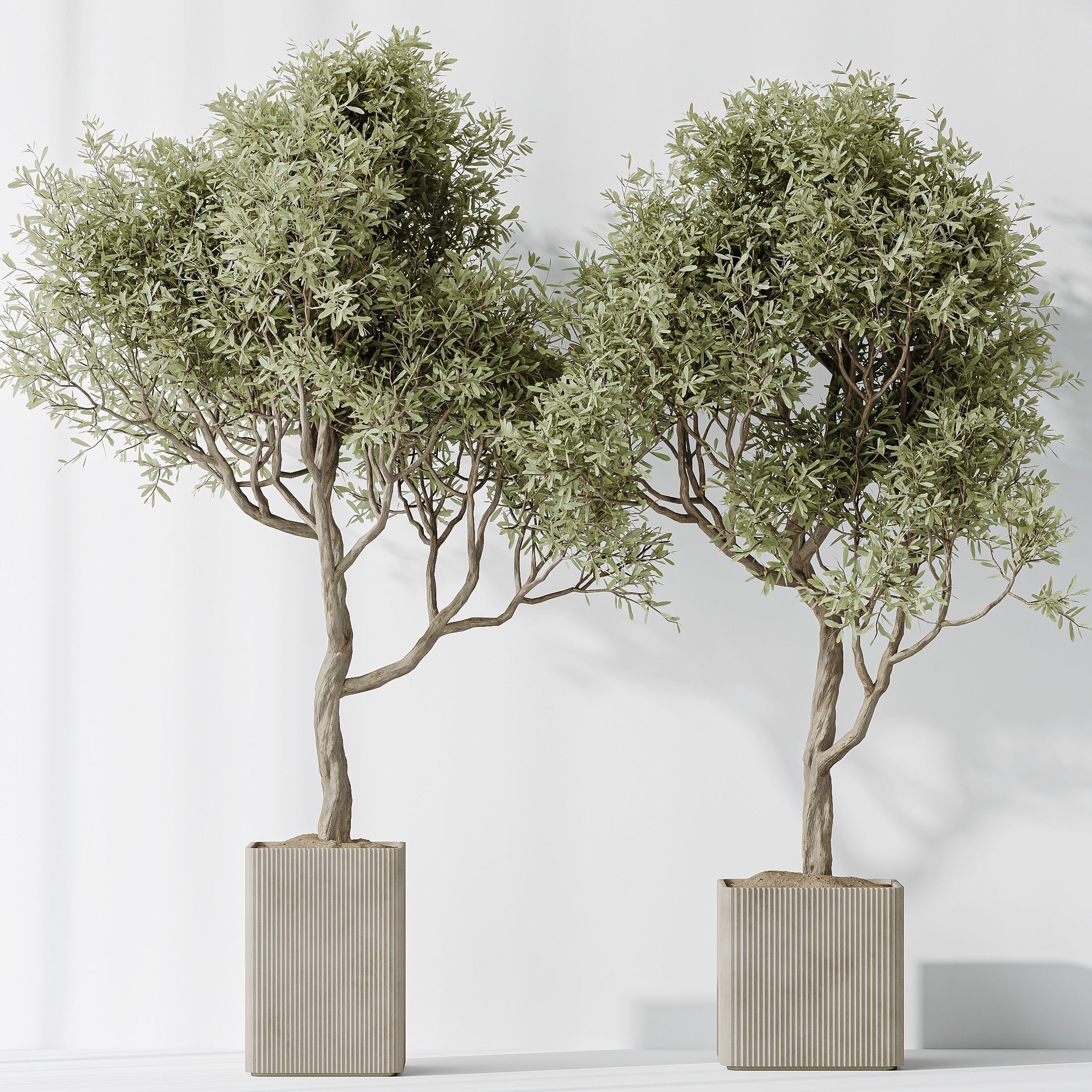 12 Different SETS of Plant Indoor SET VOL153 3D Model Collection_42