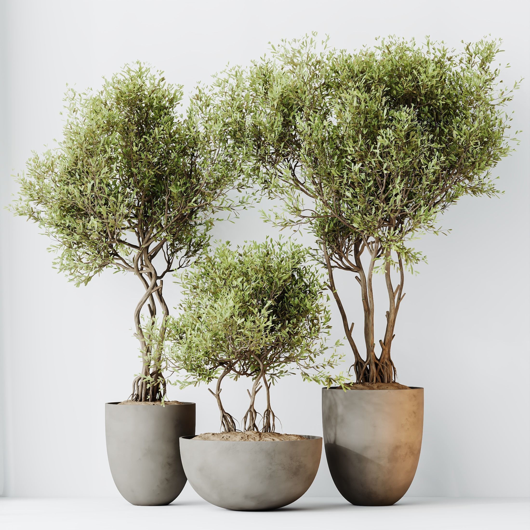 12 Different SETS of Plant Indoor SET VOL153 3D Model Collection_38