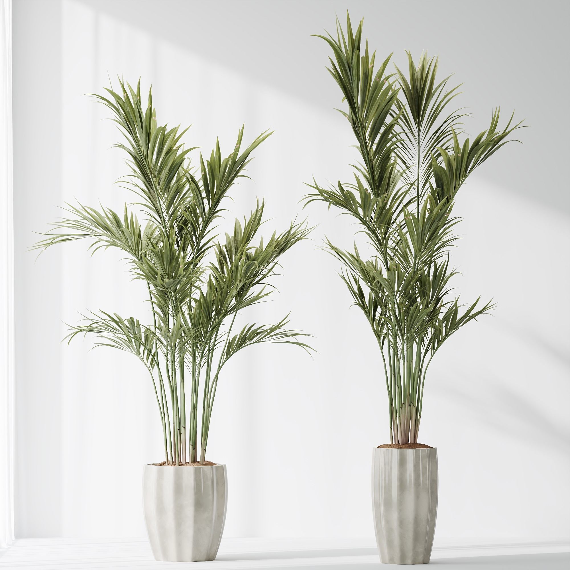 12 Different SETS of Plant Indoor SET VOL153 3D Model Collection_15