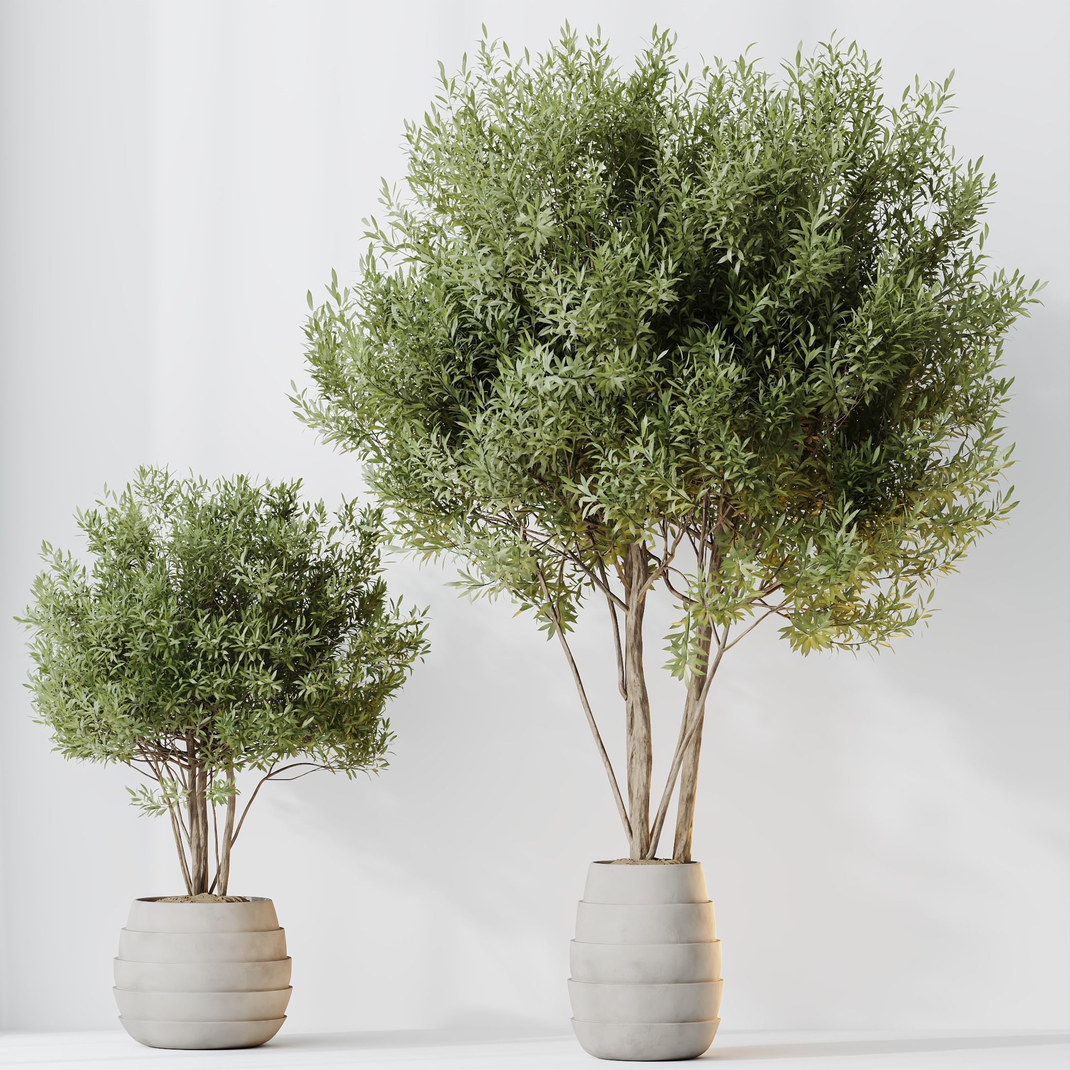 12 Different SETS of Plant Indoor SET VOL153 3D Model Collection_35
