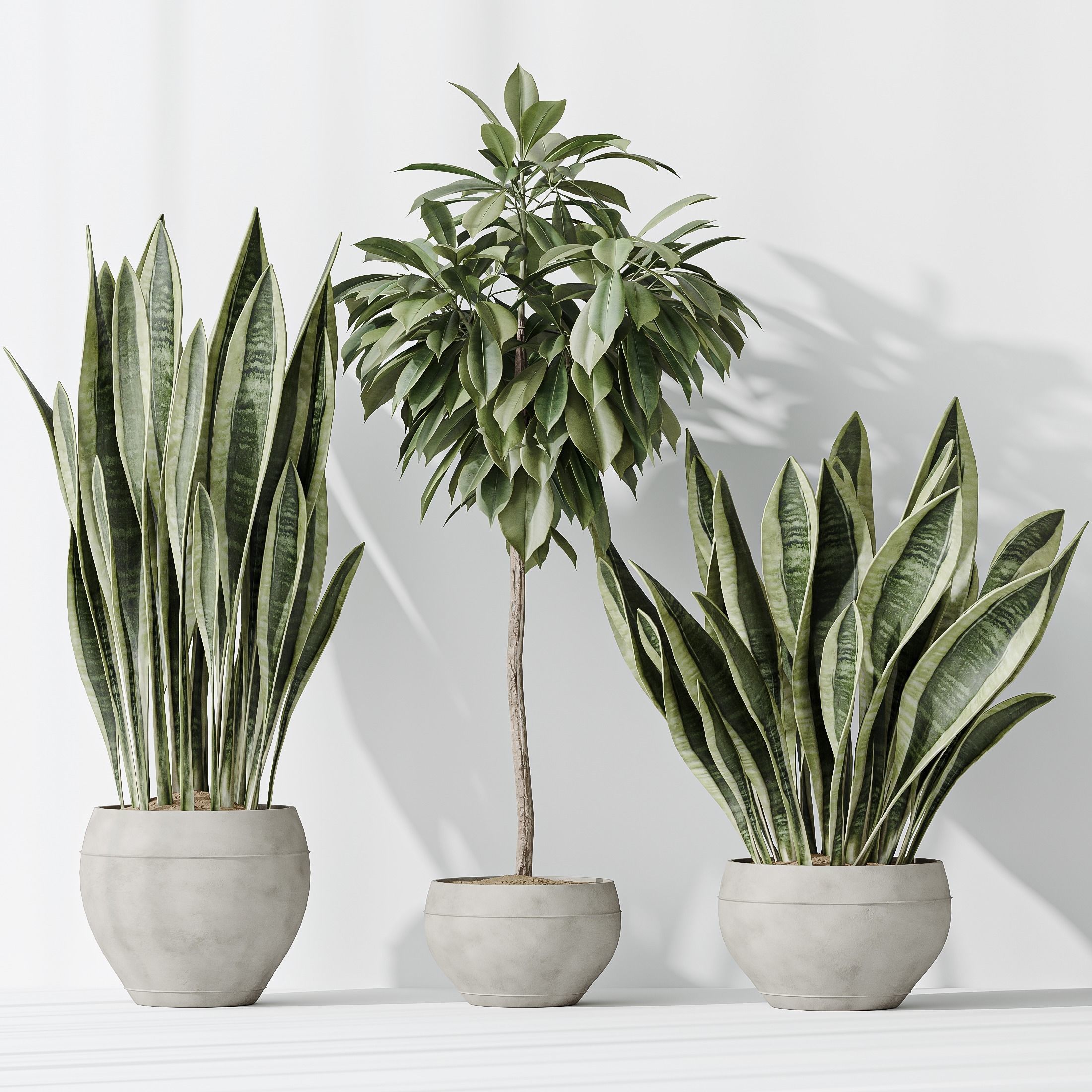 12 Different SETS of Plant Indoor SET VOL153 3D Model Collection_34