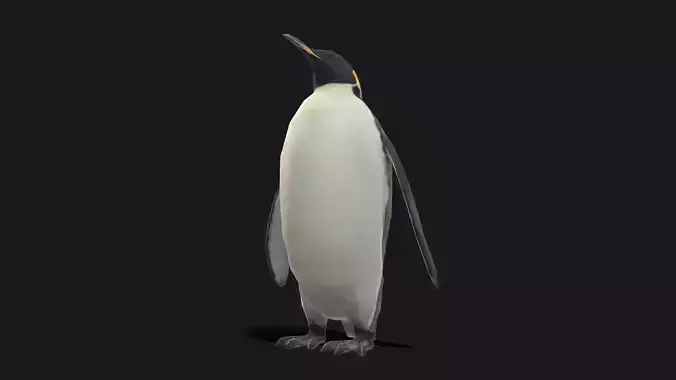 Emperor Penguin - Animated
