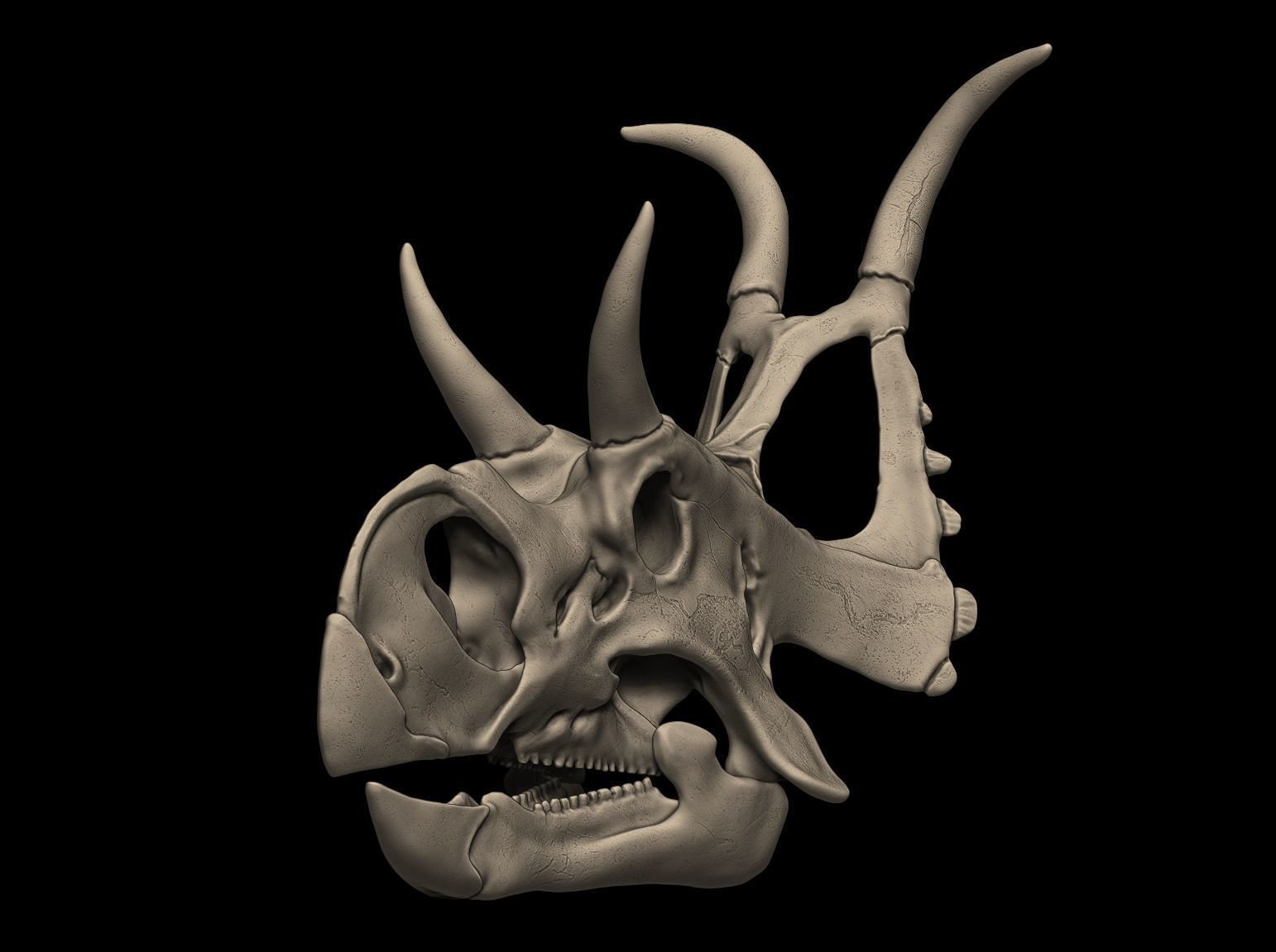 Diabloceratops Skull 3D print model_7