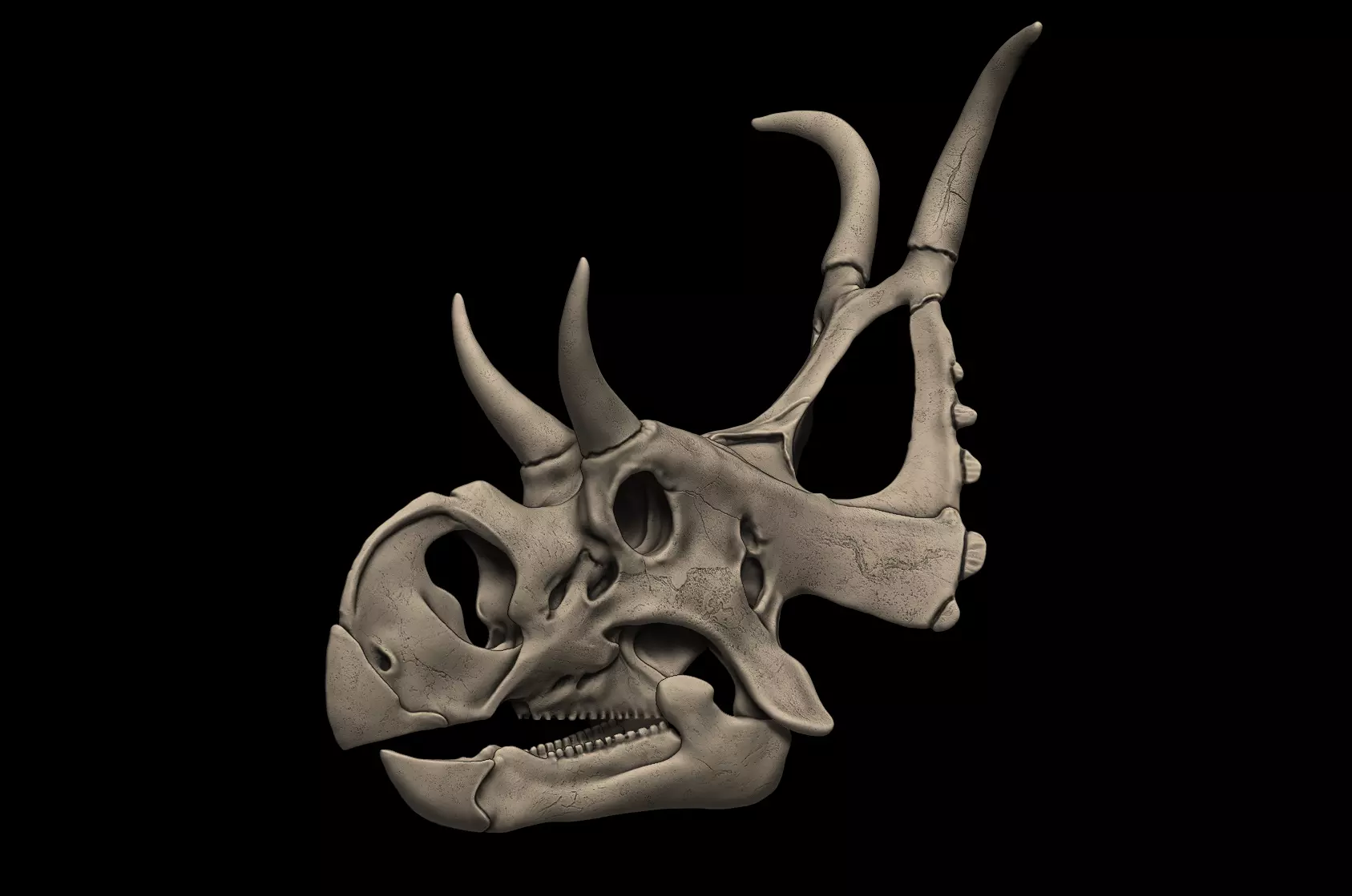 Diabloceratops Skull 3D print model_0