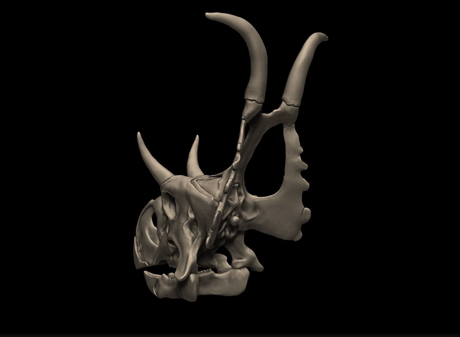 Diabloceratops Skull 3D print model_6