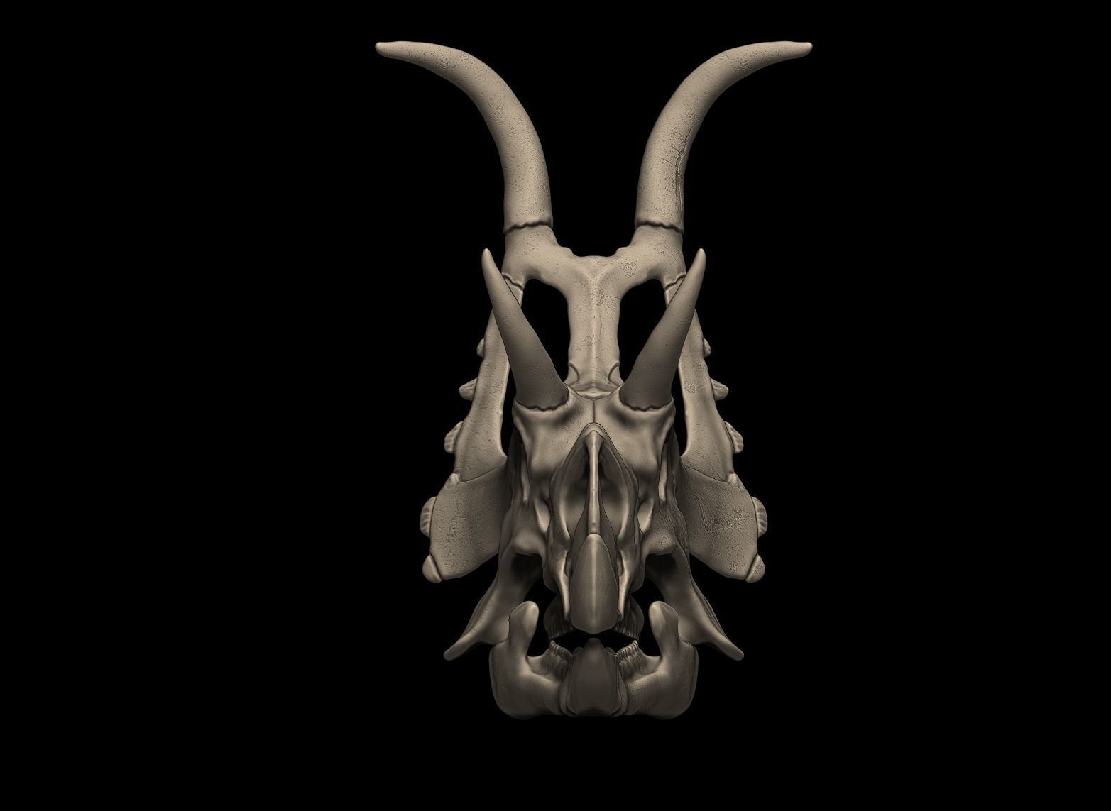 Diabloceratops Skull 3D print model_2