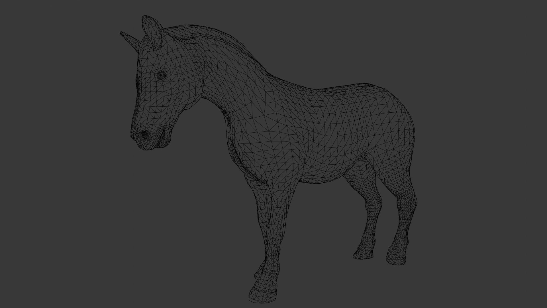 Animated Zebra 3D Model Low-poly 3D model_21