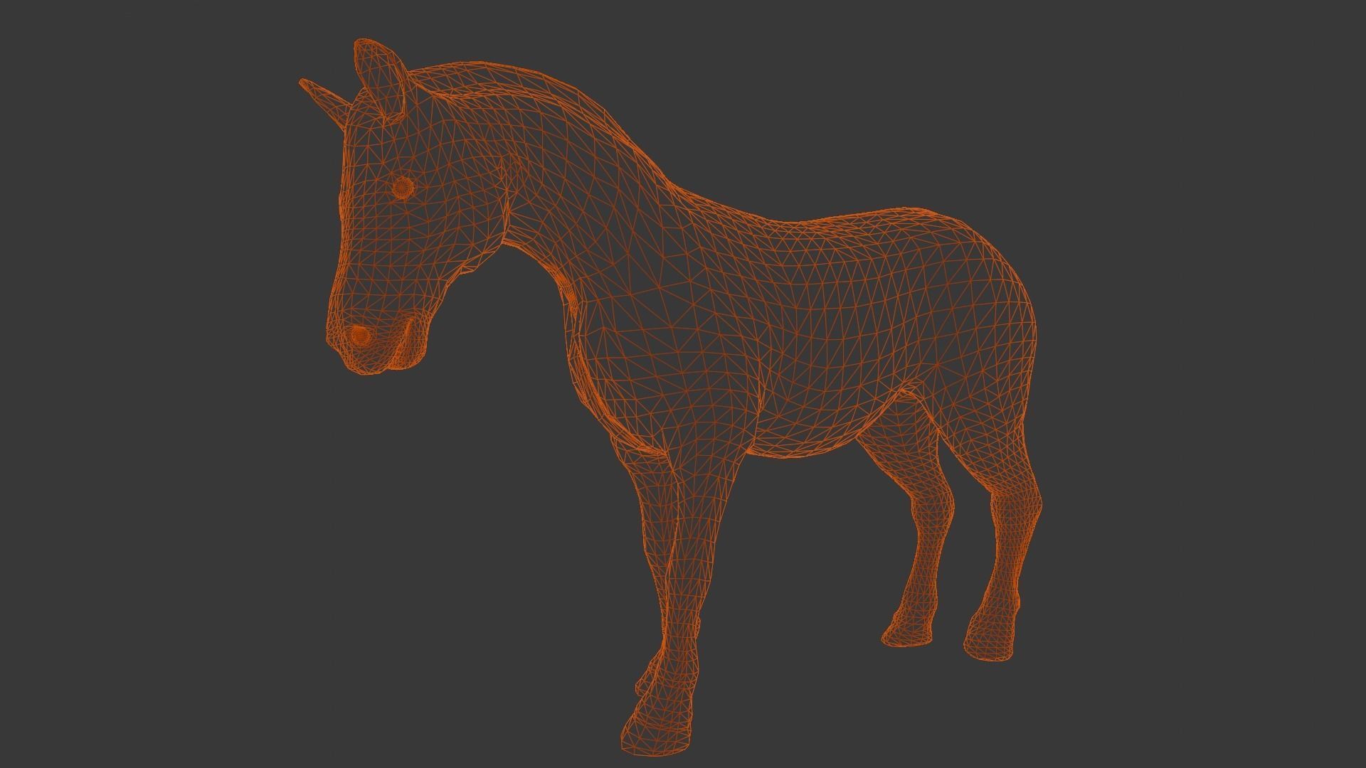 Animated Zebra 3D Model Low-poly 3D model_22