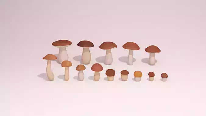 Stylized Bay Bolete and Boletus Edulis Mushrooms Collection 
