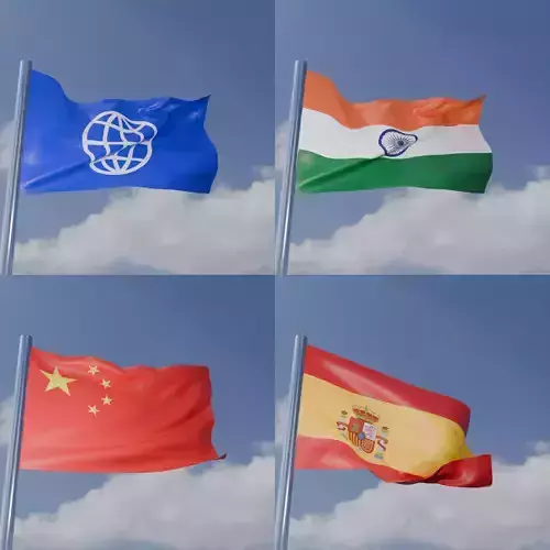 Real Animated flag wind 3D model