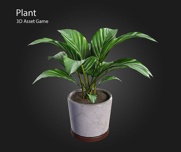 Plant V3 Low-poly 3D model