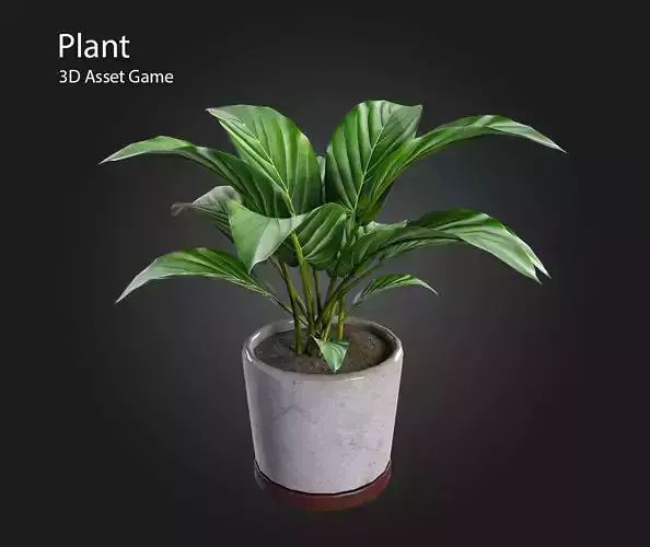 Plant V3