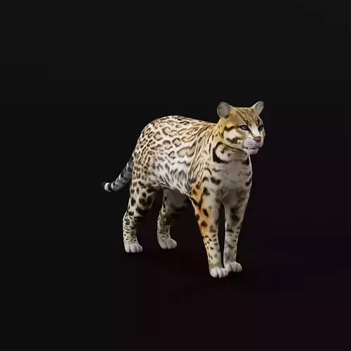 Ocelot Wild Cat Low-poly 3D model