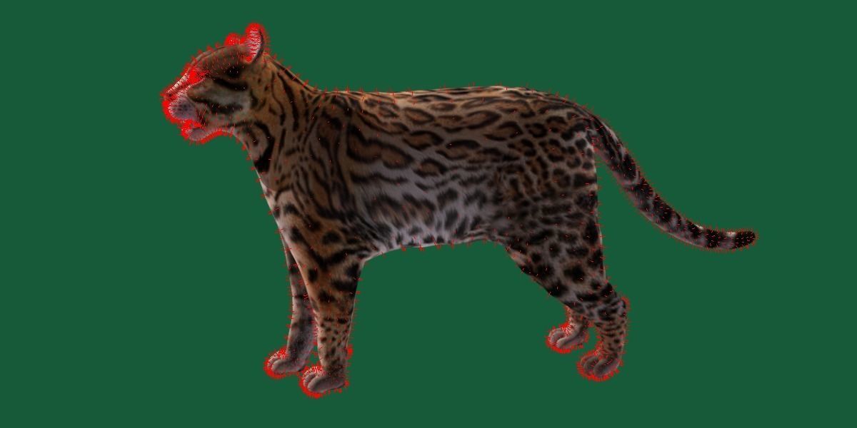 Ocelot Wild Cat Low-poly 3D model_19