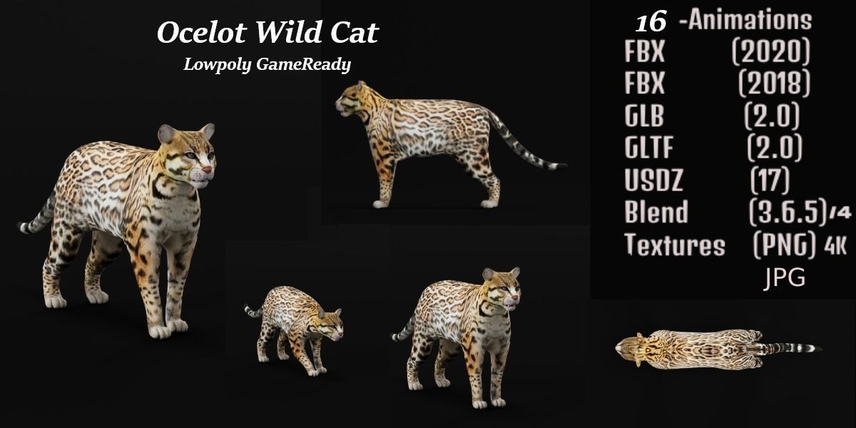 Ocelot Wild Cat Low-poly 3D model_2