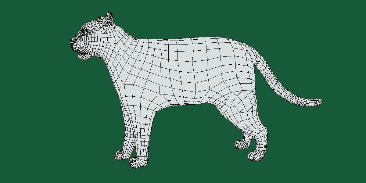 Ocelot Wild Cat Low-poly 3D model_18